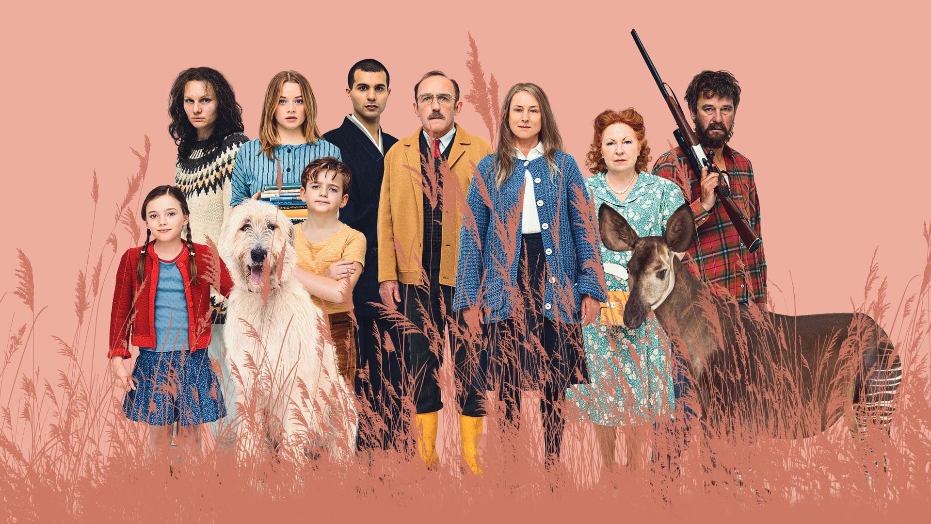 Что видно отсюда