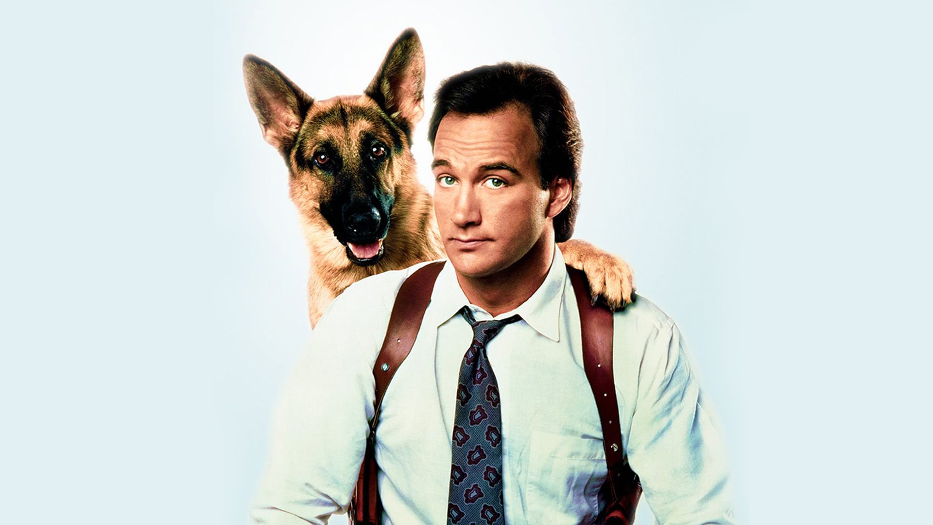 К-9: Собачья работа