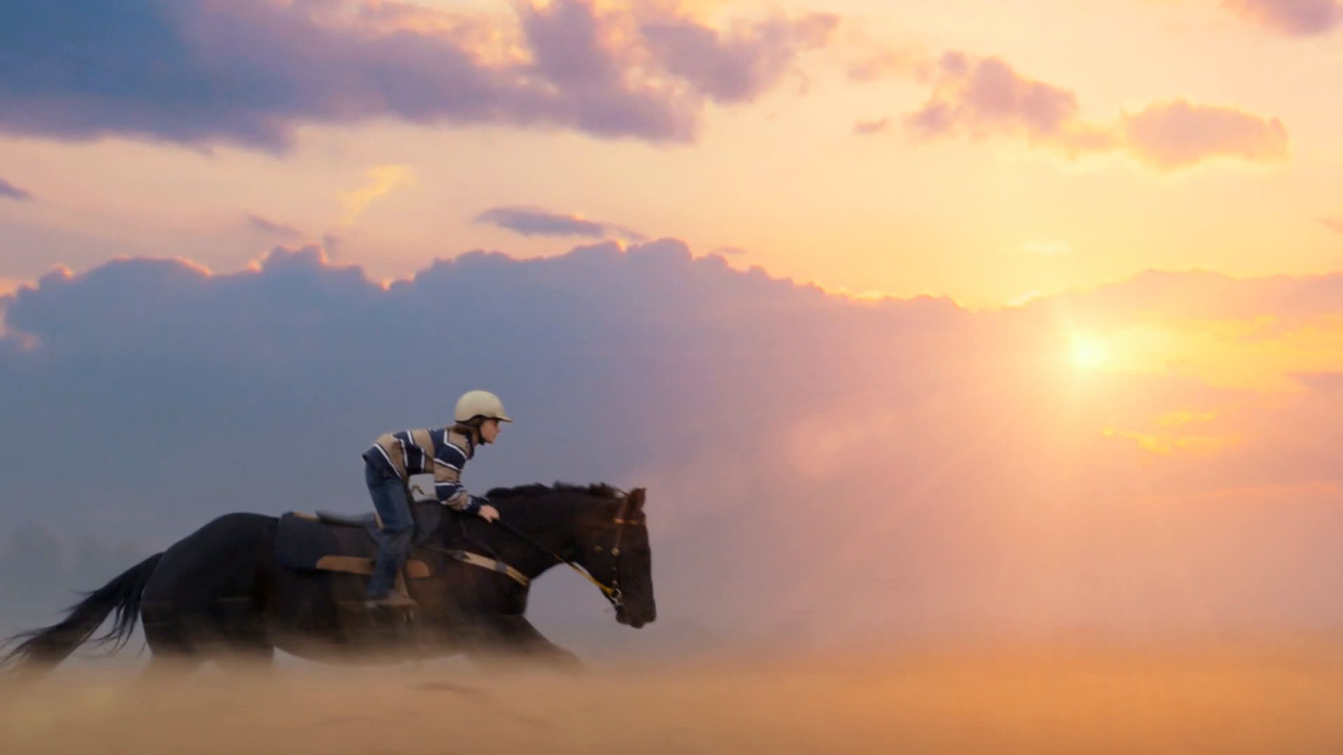 В погоне за ветром