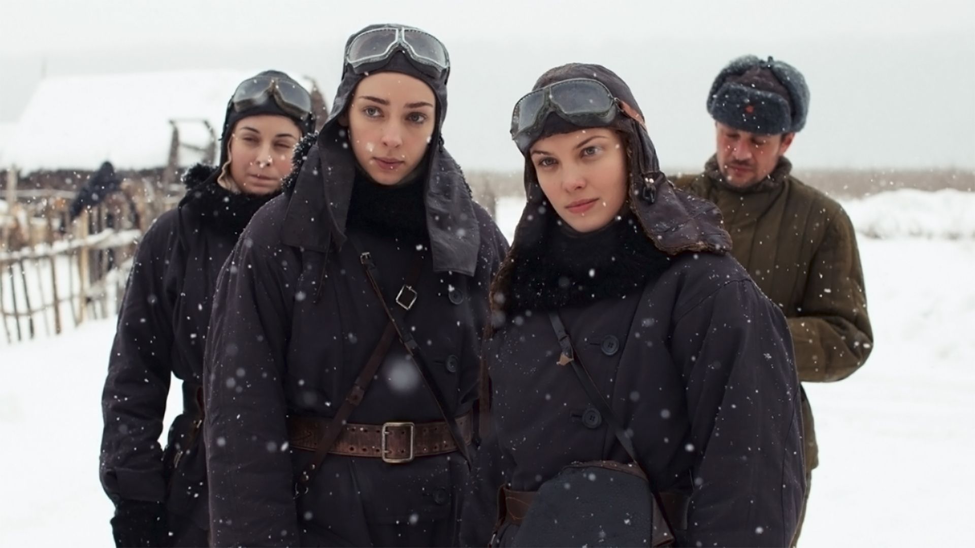 Ночные ласточки