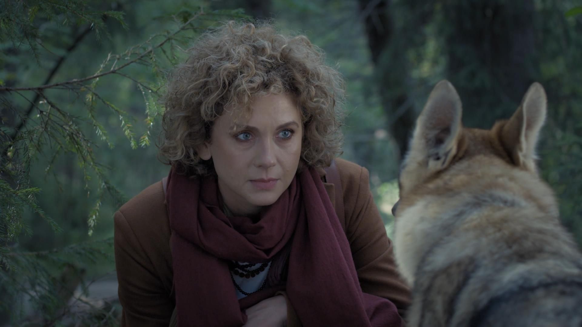 Северное сияние. Древо колдуна. 1-я серия