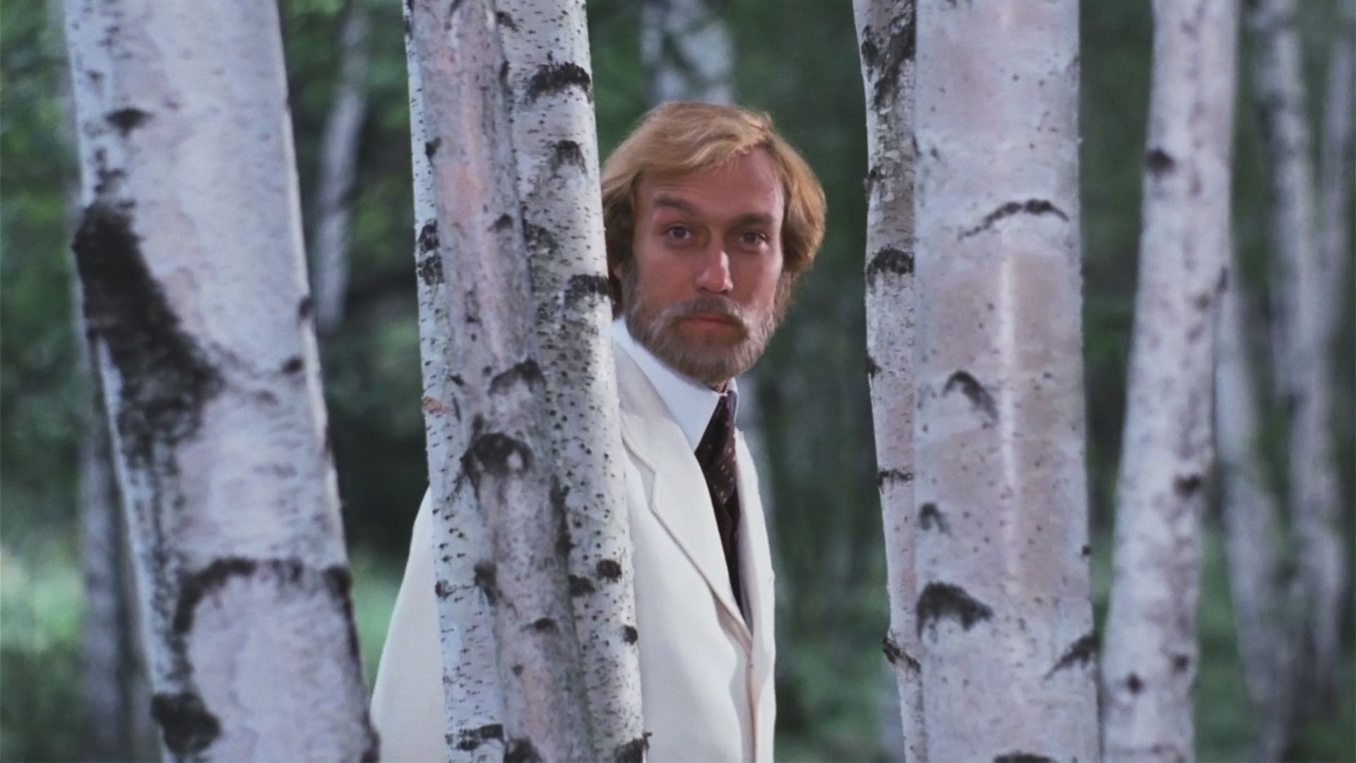 Мой ласковый и нежный зверь