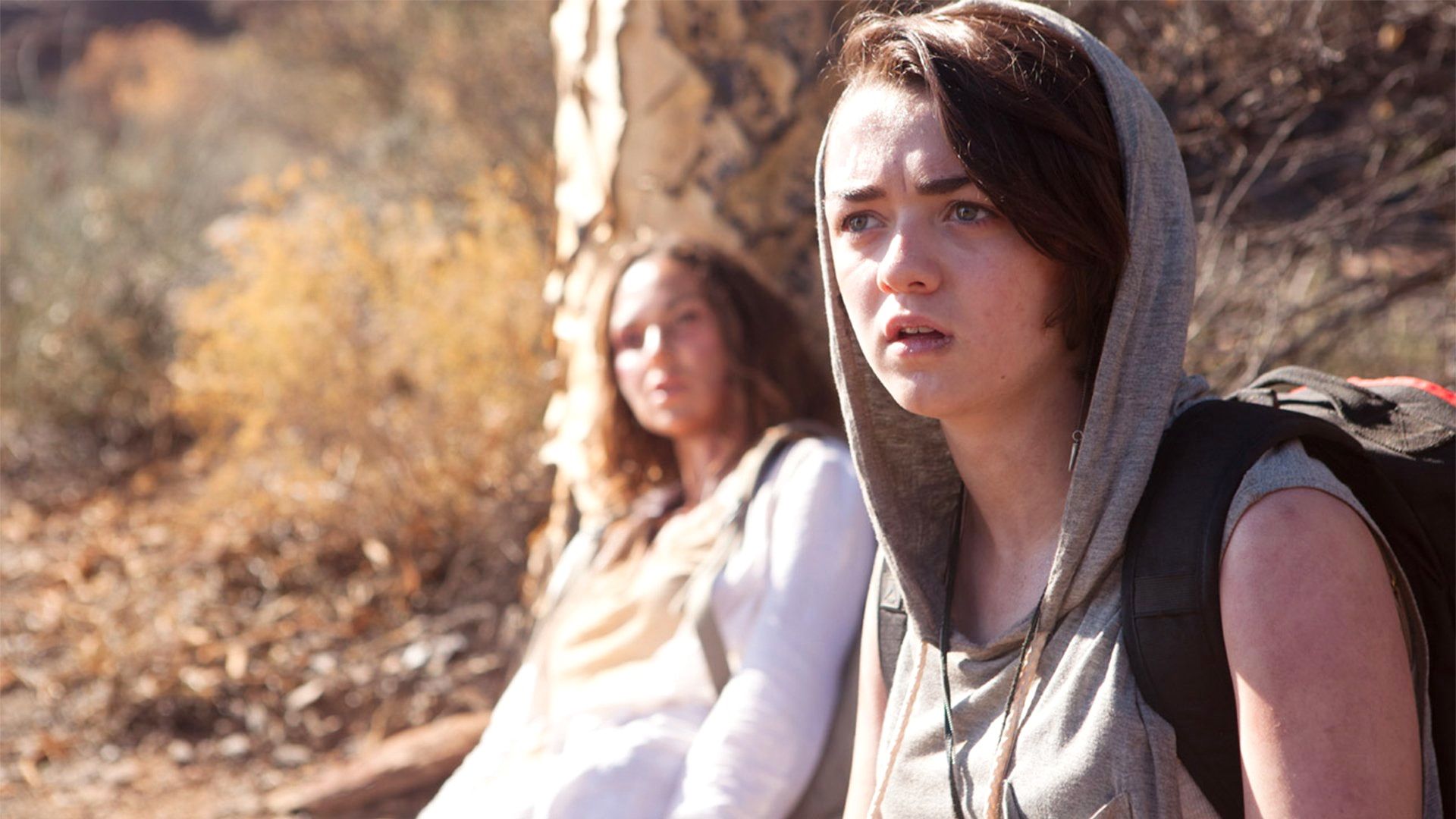 Тепловой удар