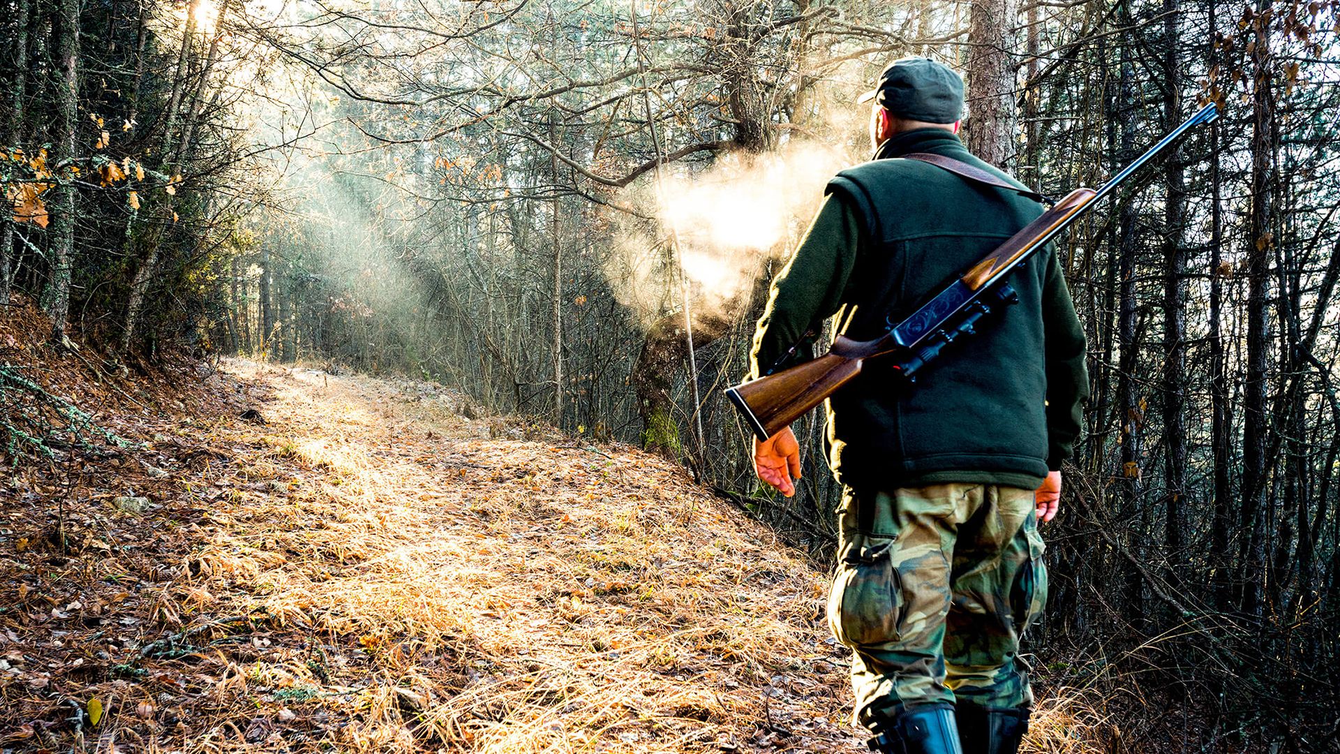 Территория. Забайкальский край. На изюбря и лося с подхода