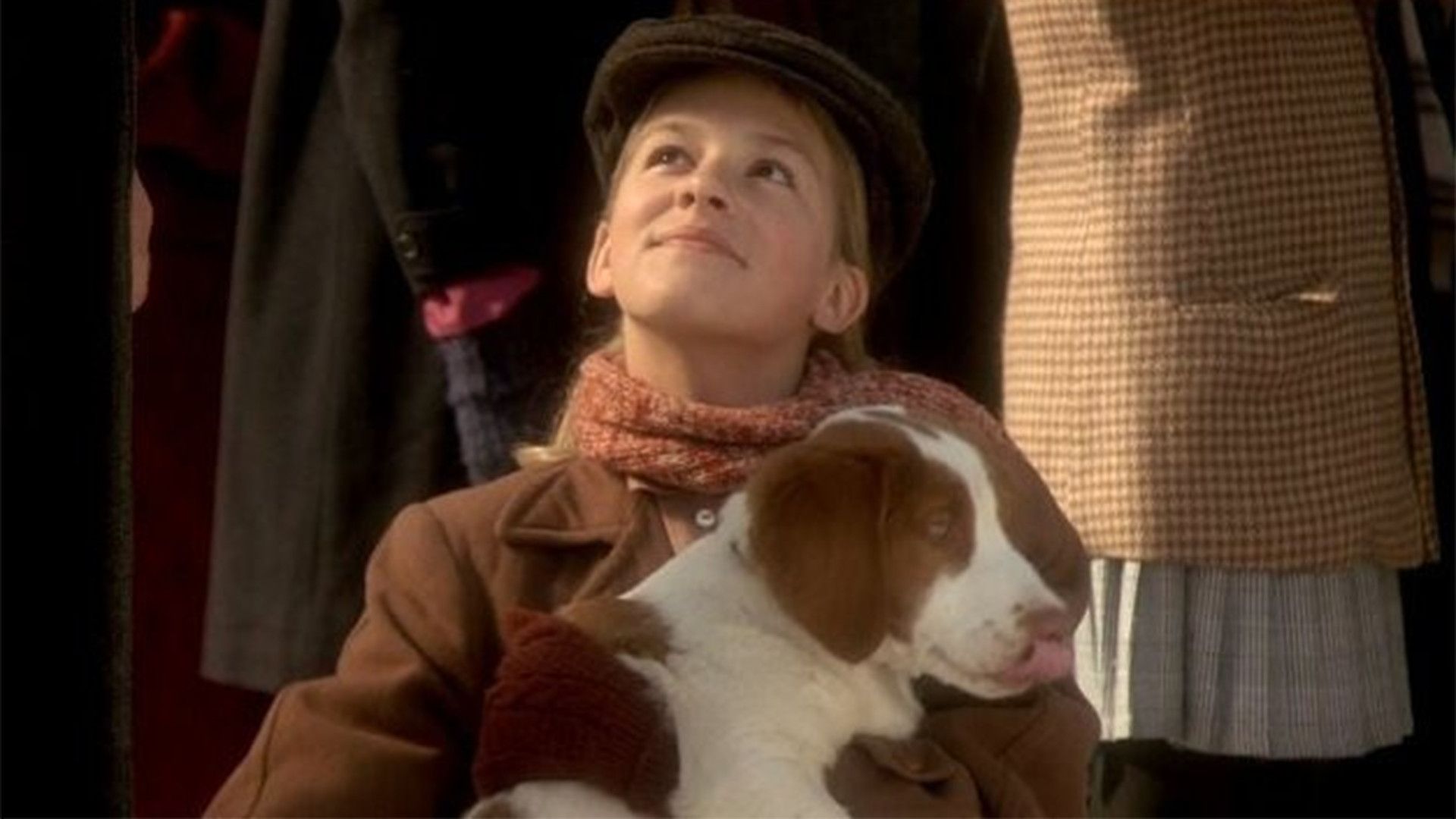 12 рождественских собак