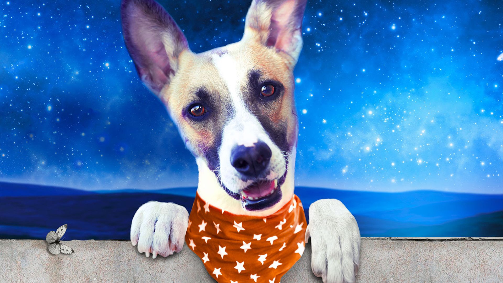 Невероятные приключения Гампи