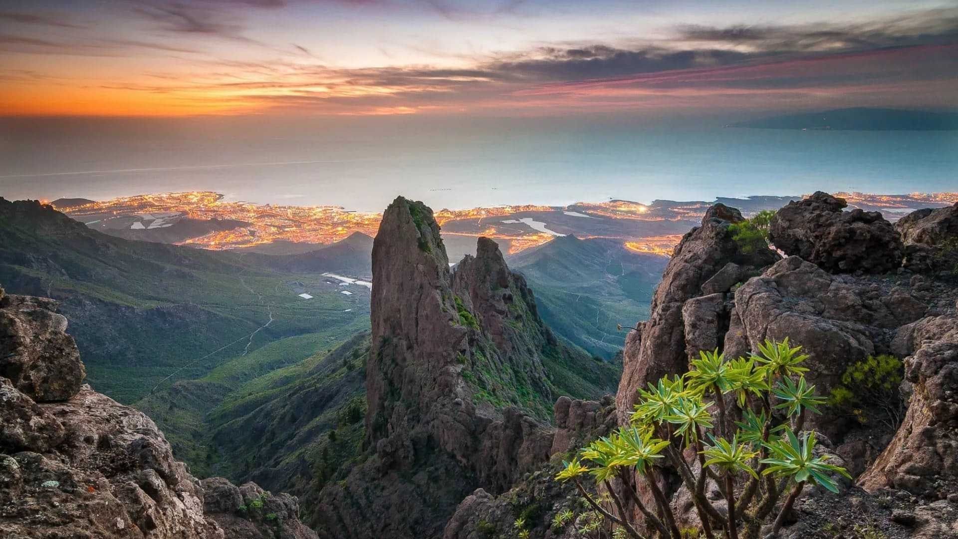 Дикая природа Канарских островов