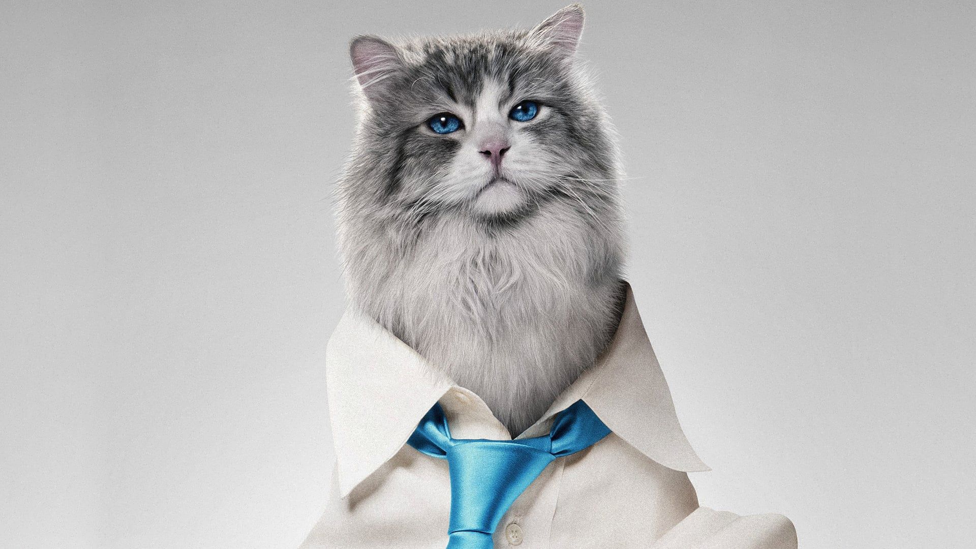 Девять жизней