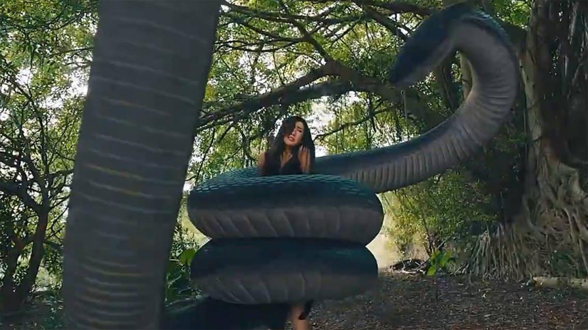 Анаконда. Подъём с глубины