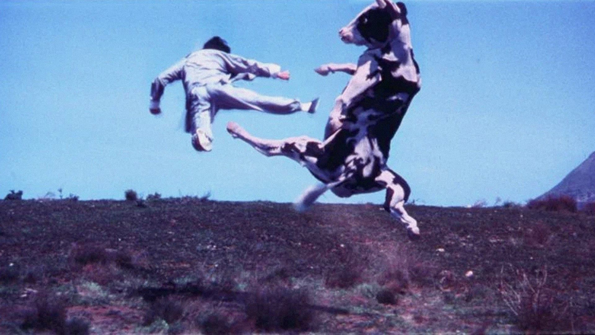 Кунг-По: Кулак внутри