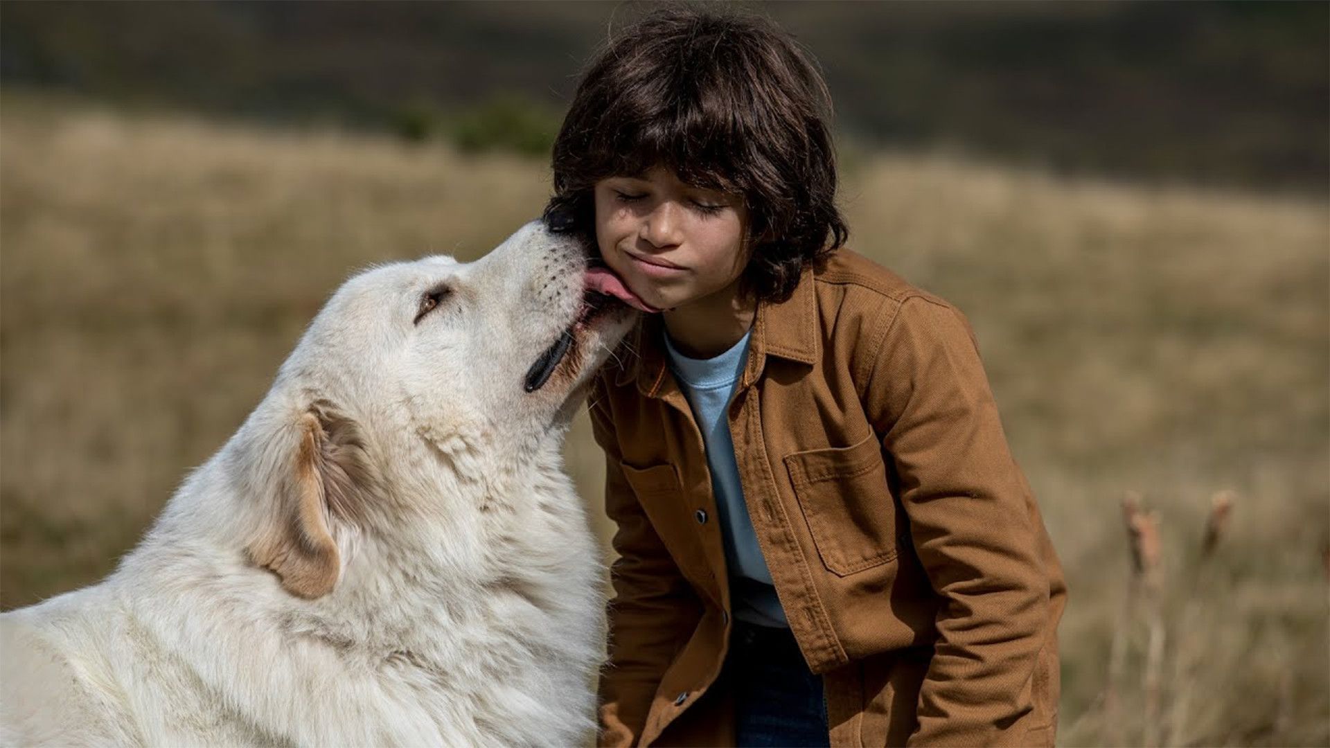 Белль и Себастьян: Новое поколение