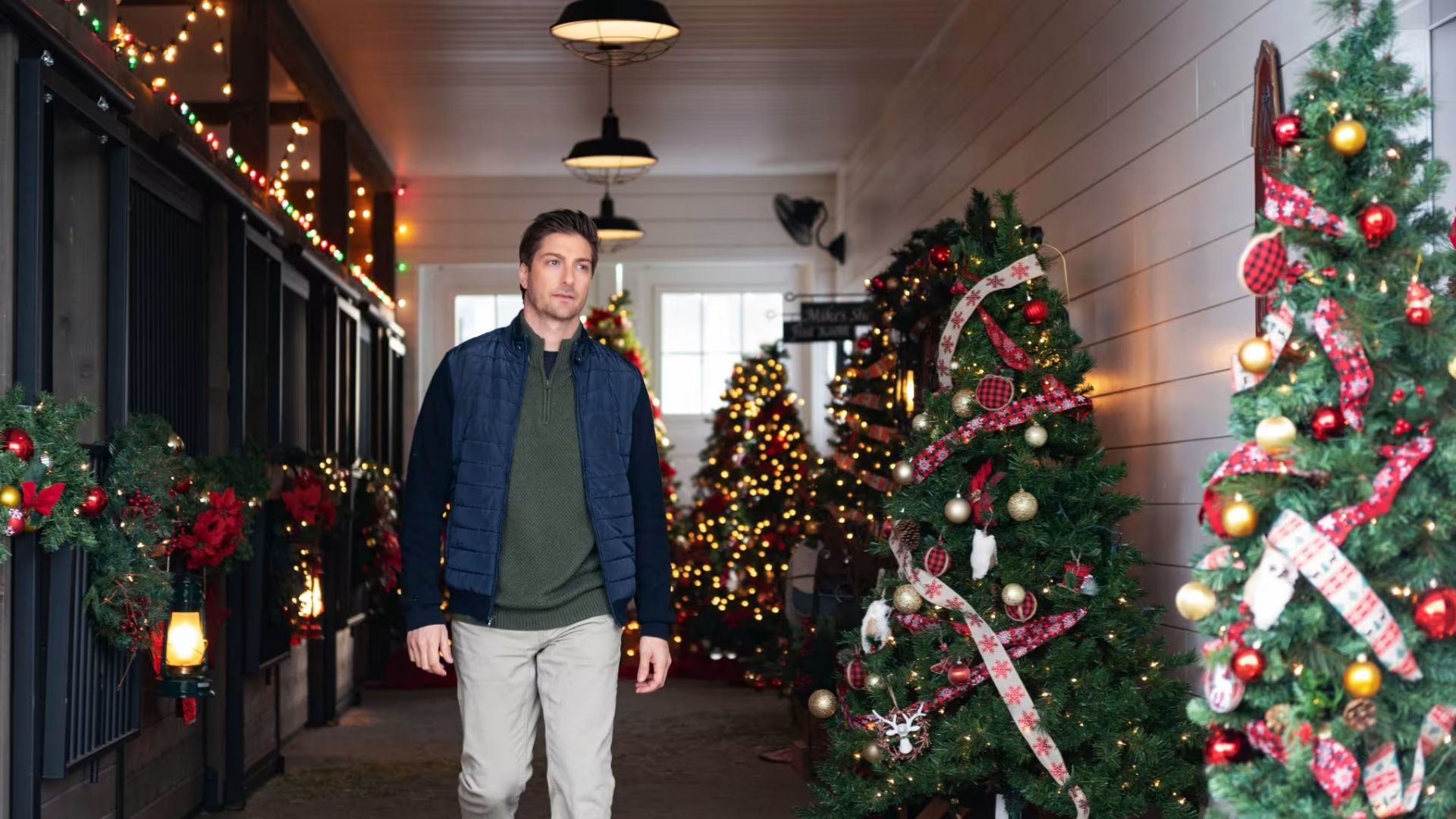 Рождественская звезда