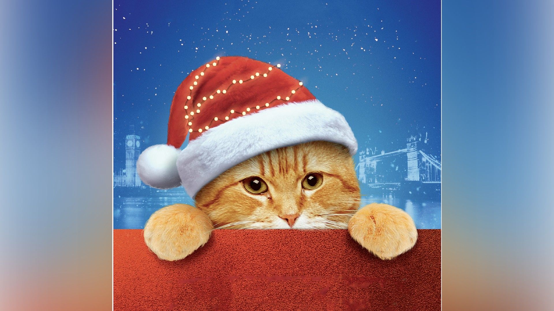 Рождество кота Боба