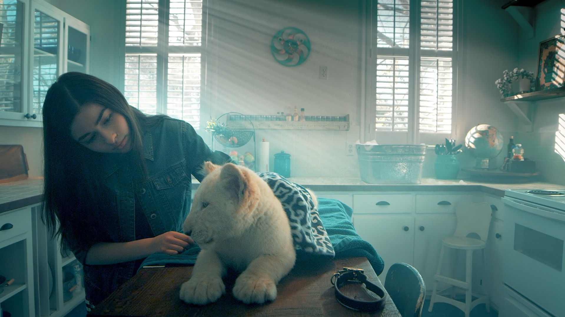 Лена и львёнок