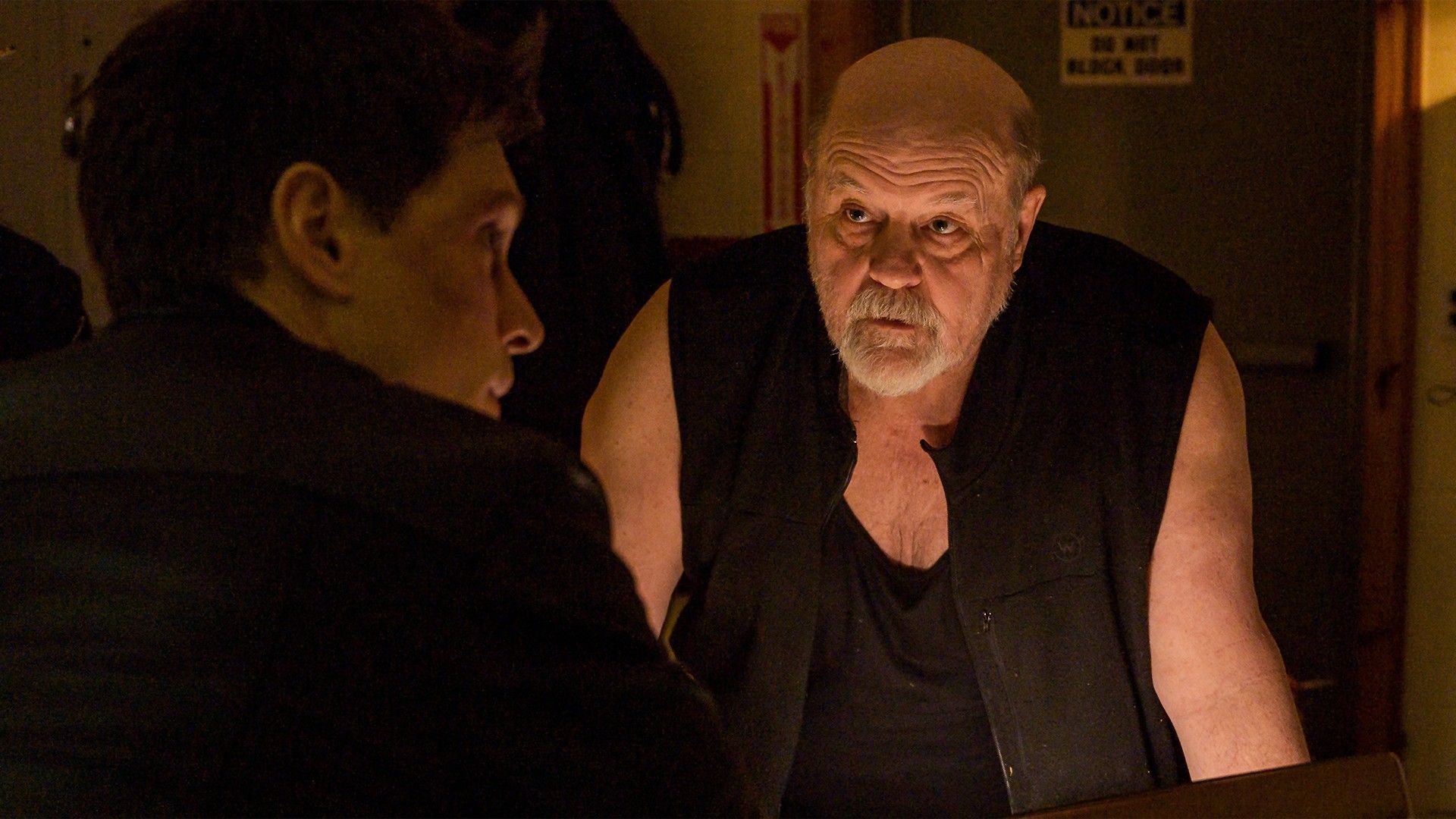 Бойцы на всю голову