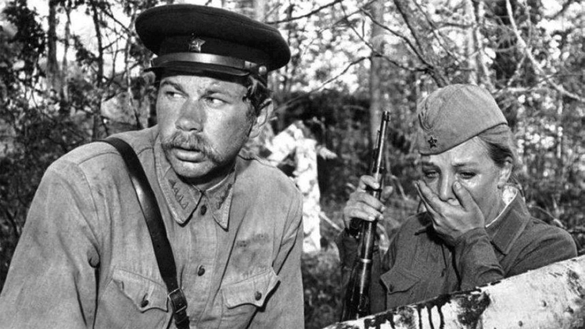 А зори здесь тихие...