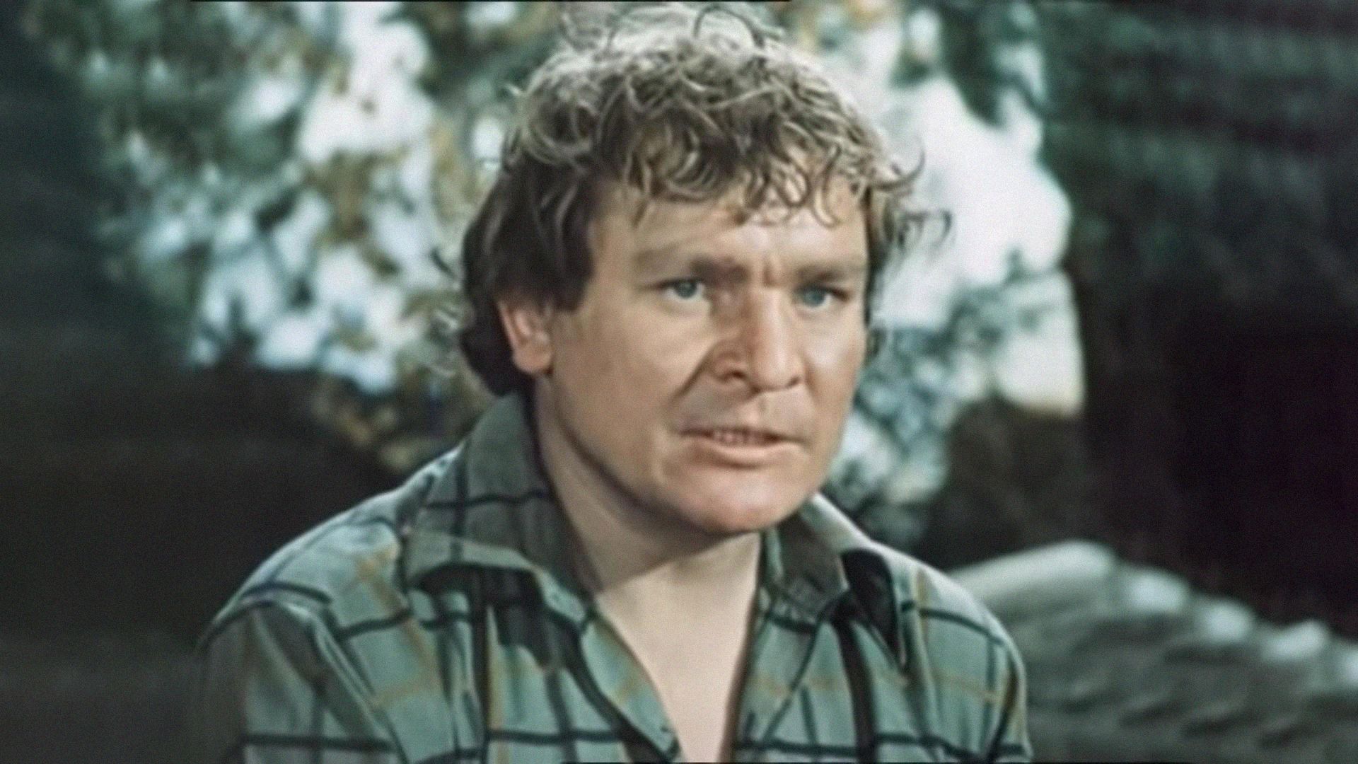 "SOS" над тайгой