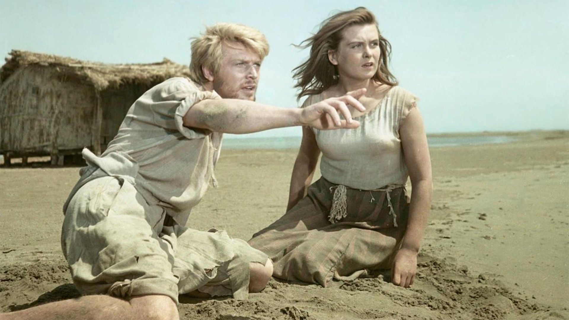 Сорок первый