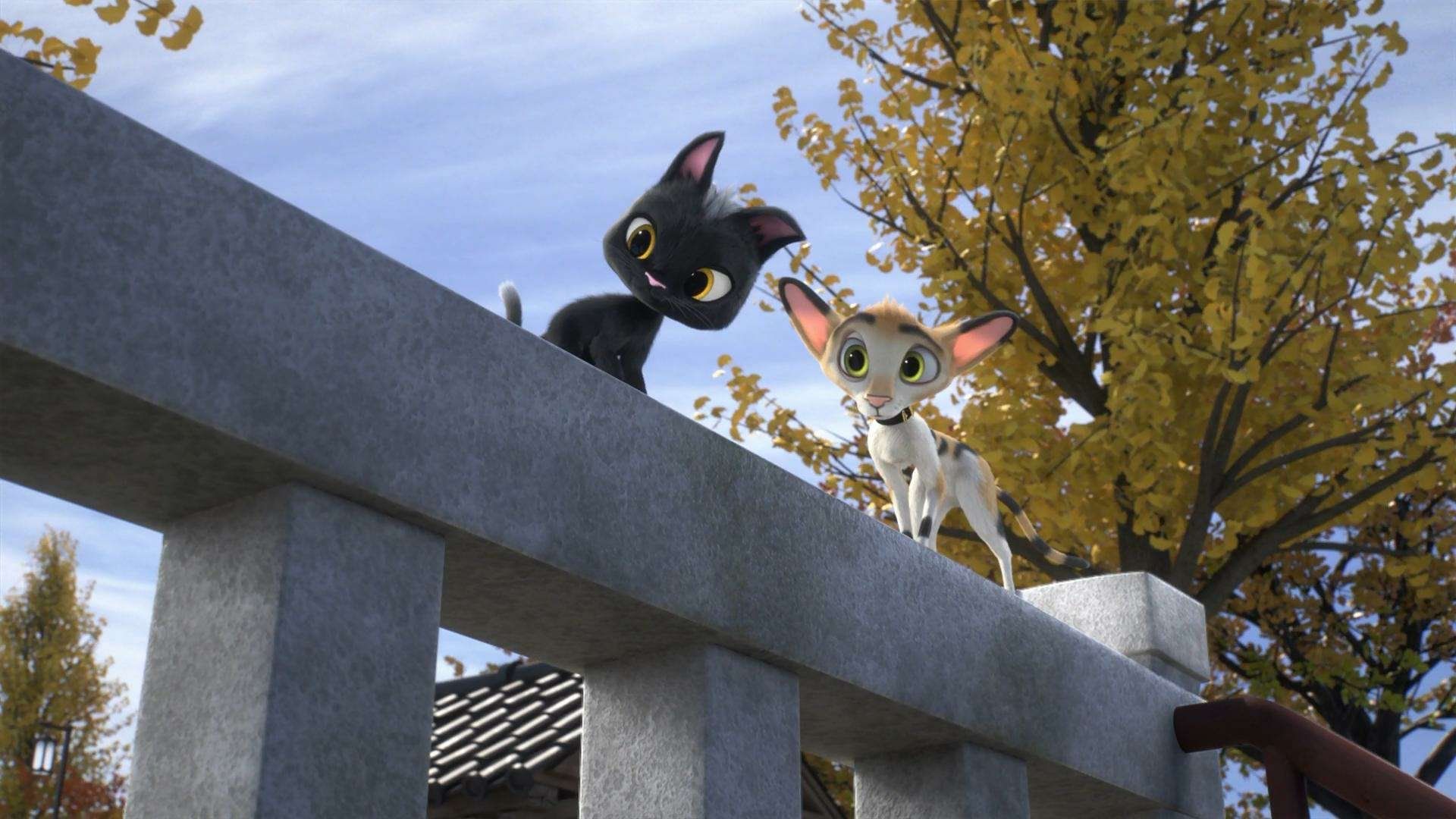 Жил-был кот