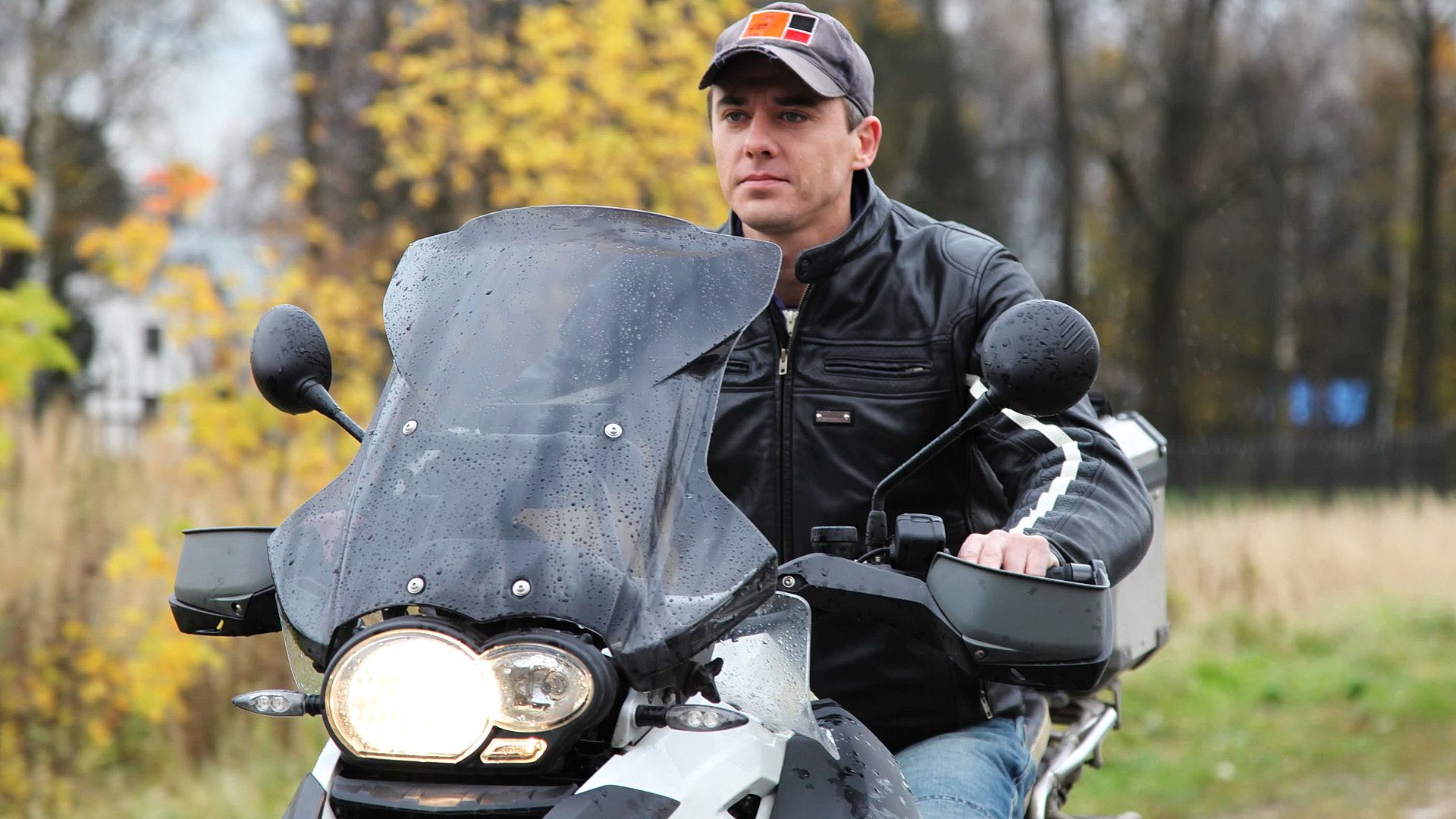 Папа напрокат