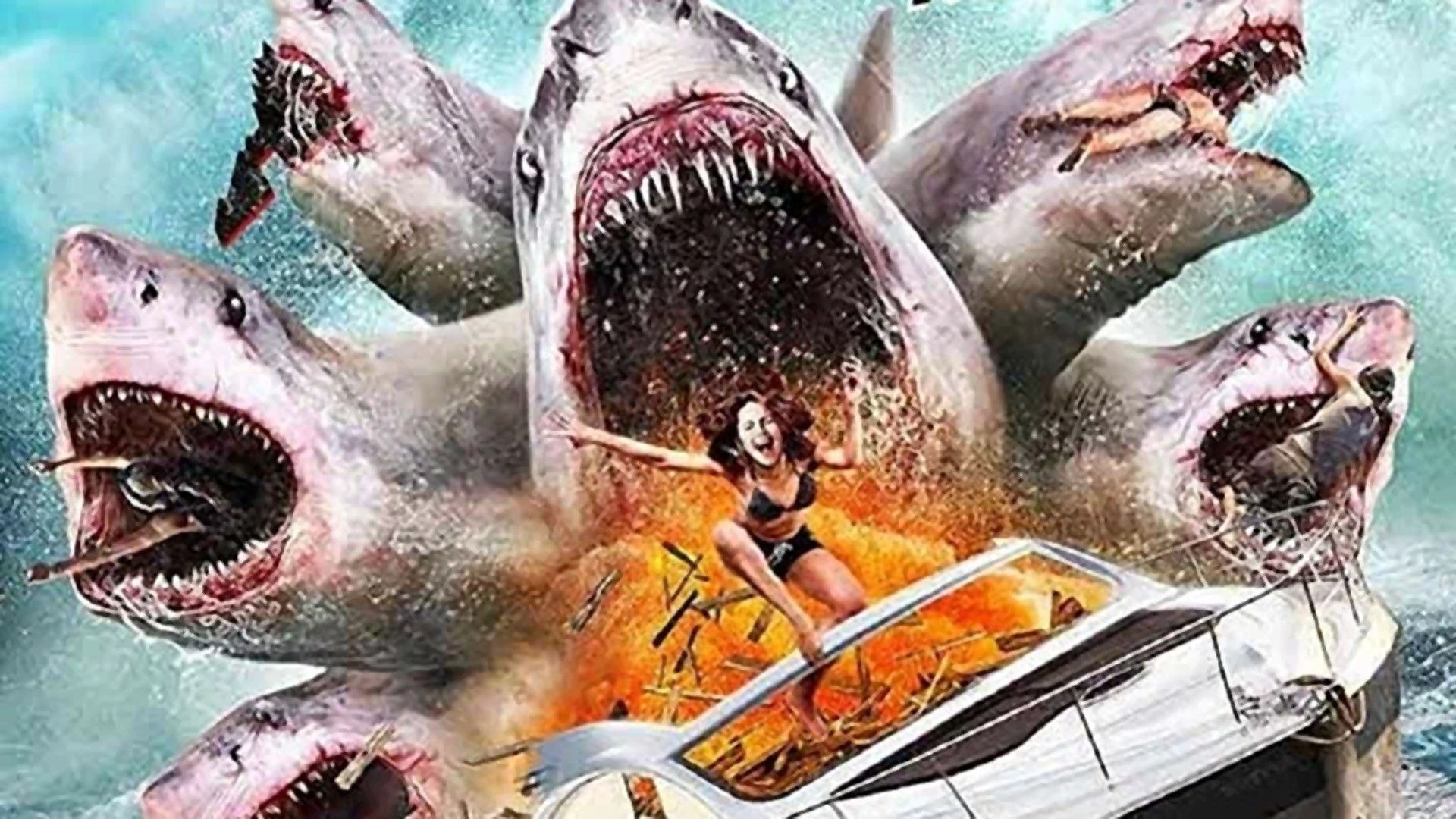 Нападение шестиголовой акулы