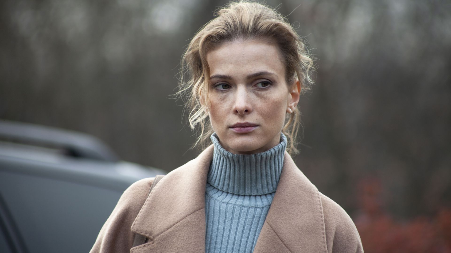 Тест на беременность. 2-я серия