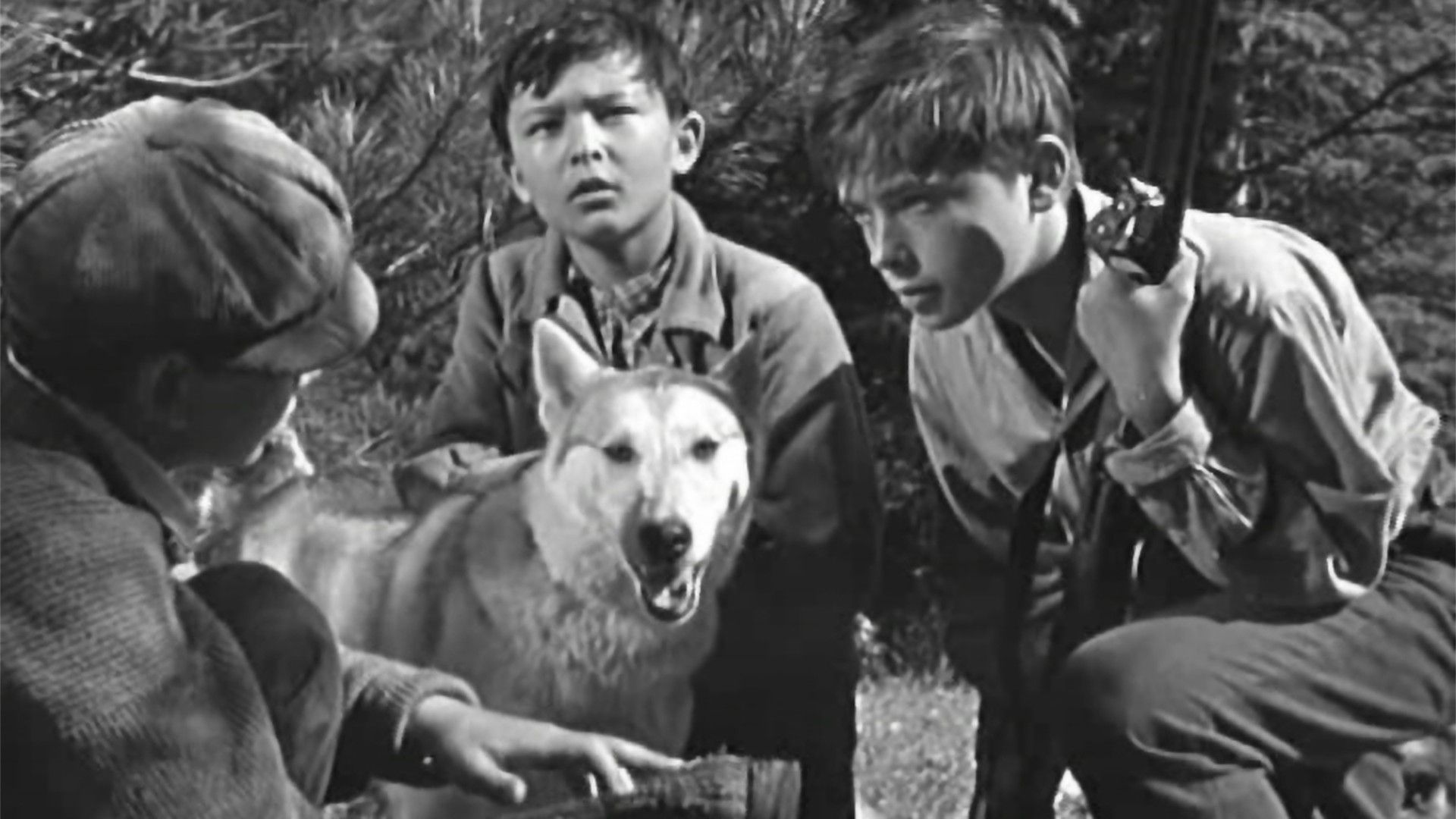 О чём молчала тайга