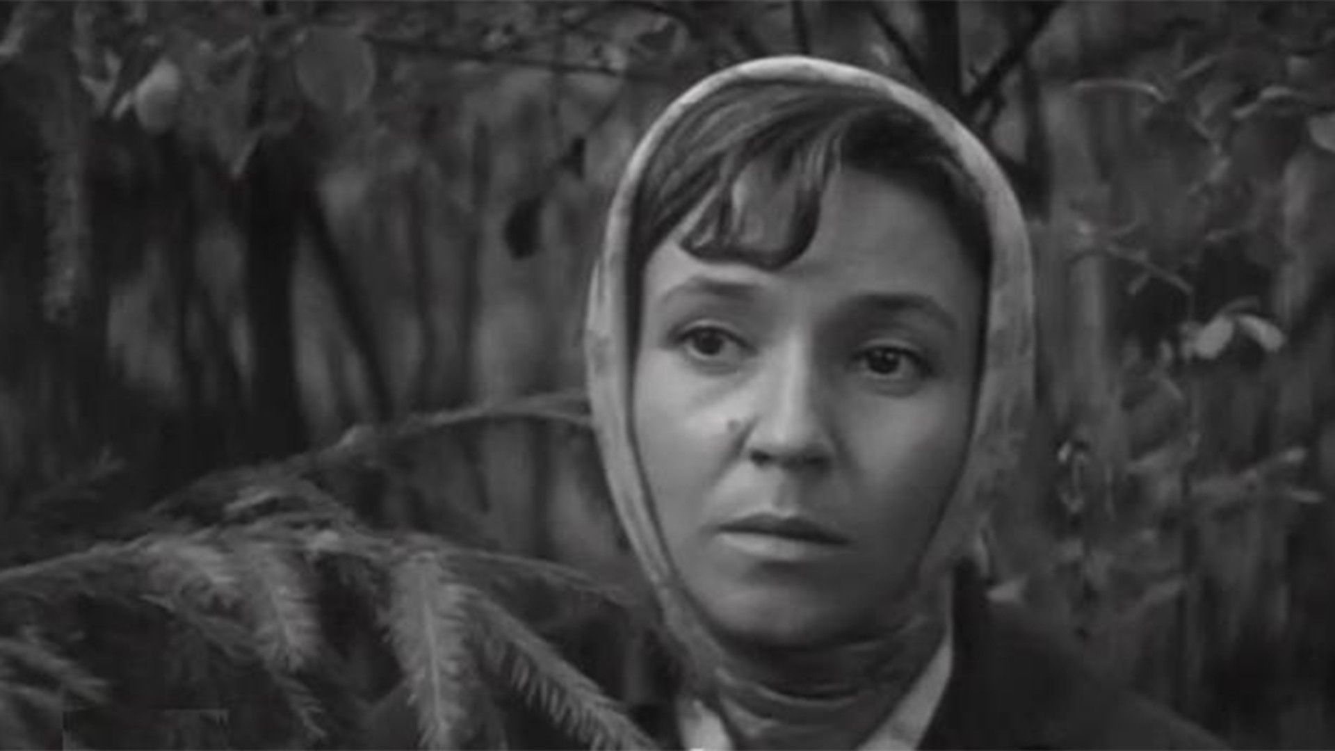 Дорога на Рюбецаль