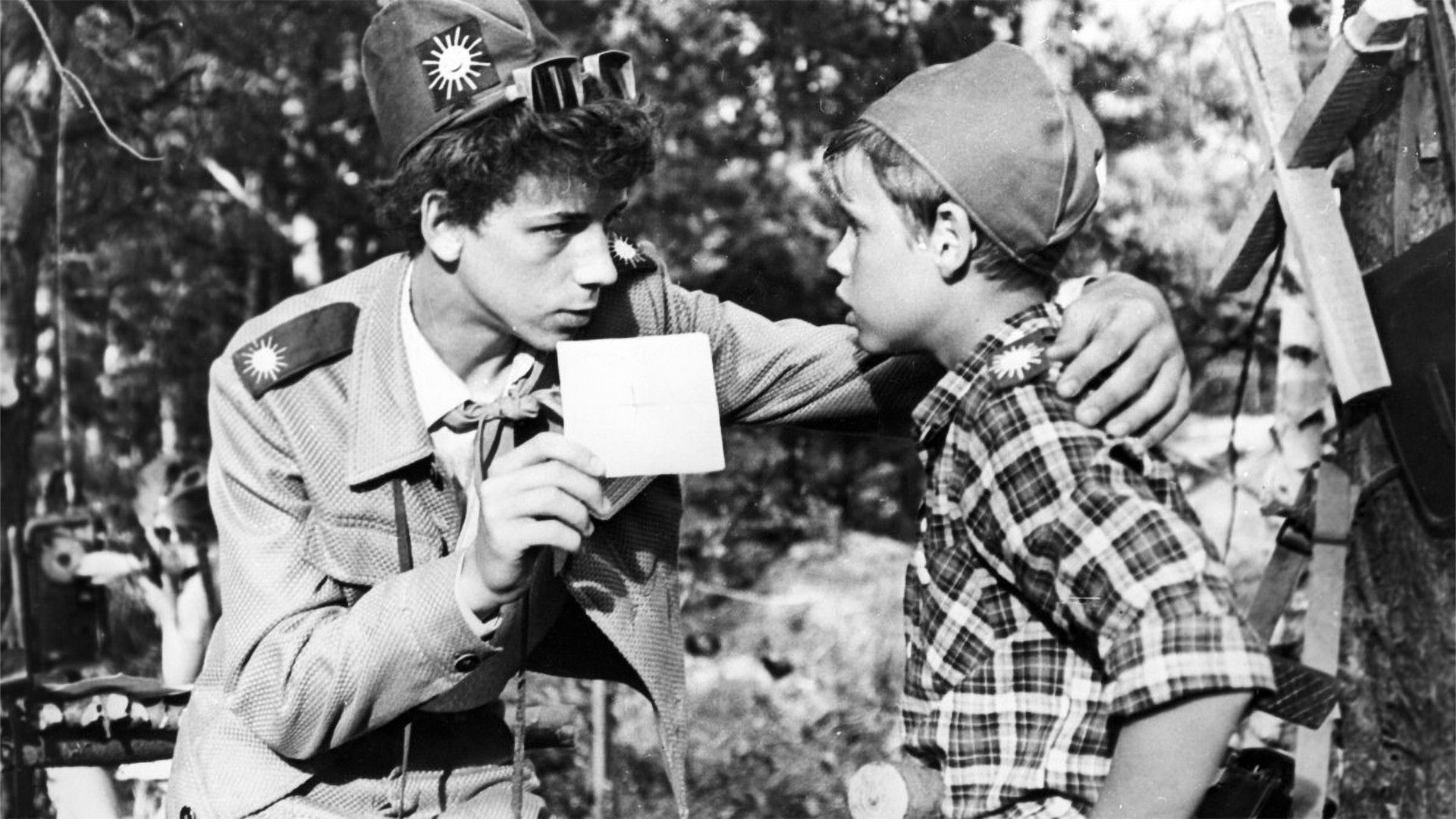 Птицы над городом