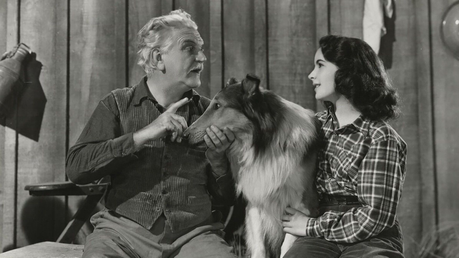 Храбрость Лесси