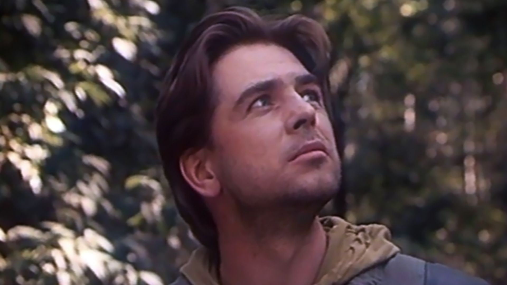 Воспитание жестокости у женщин и собак