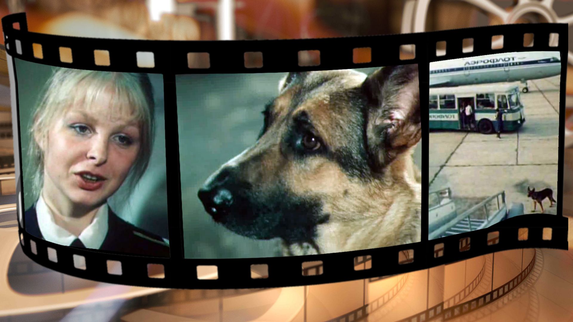 На привязи у взлетной полосы