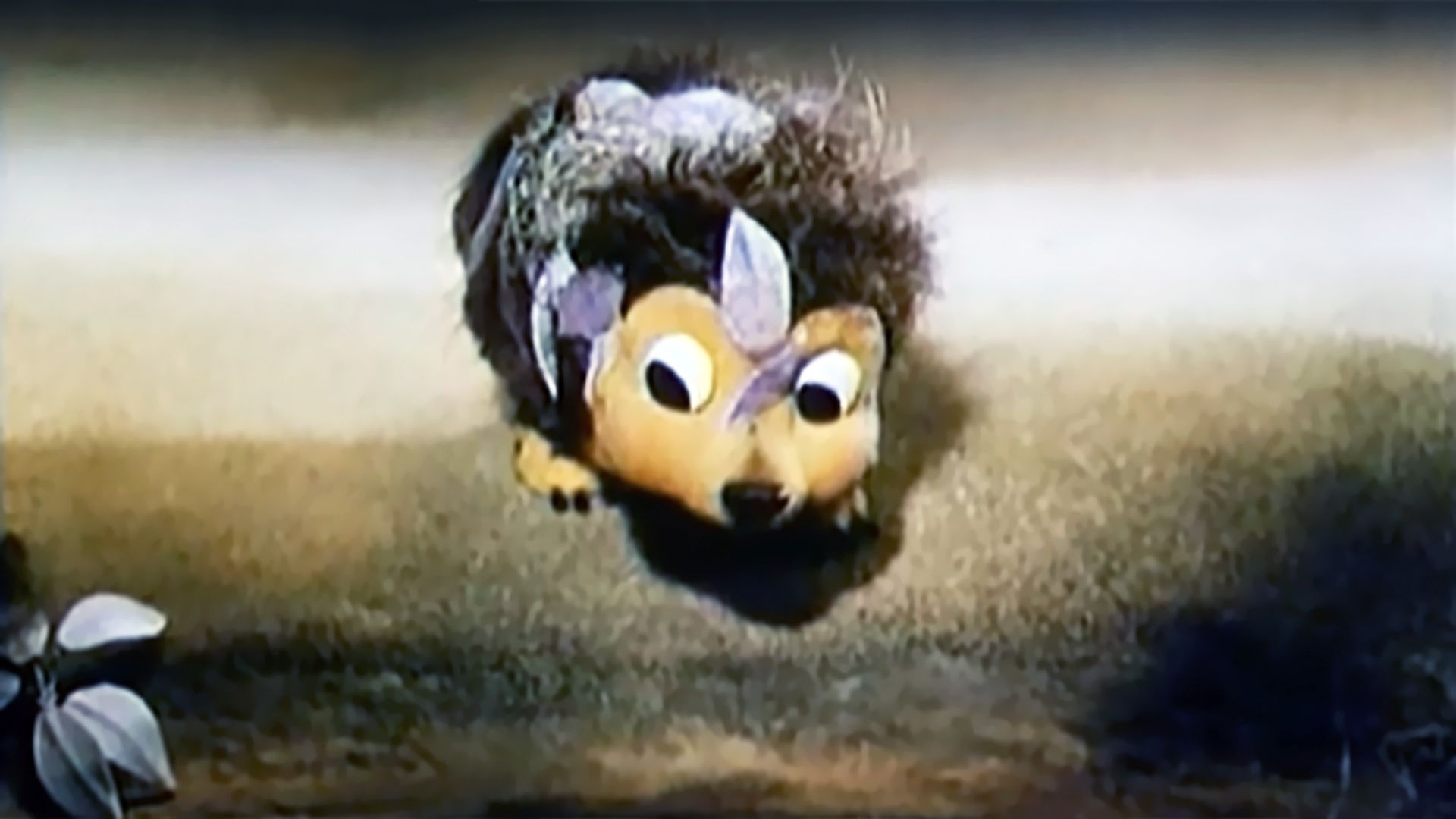 Ёжик плюс черепаха