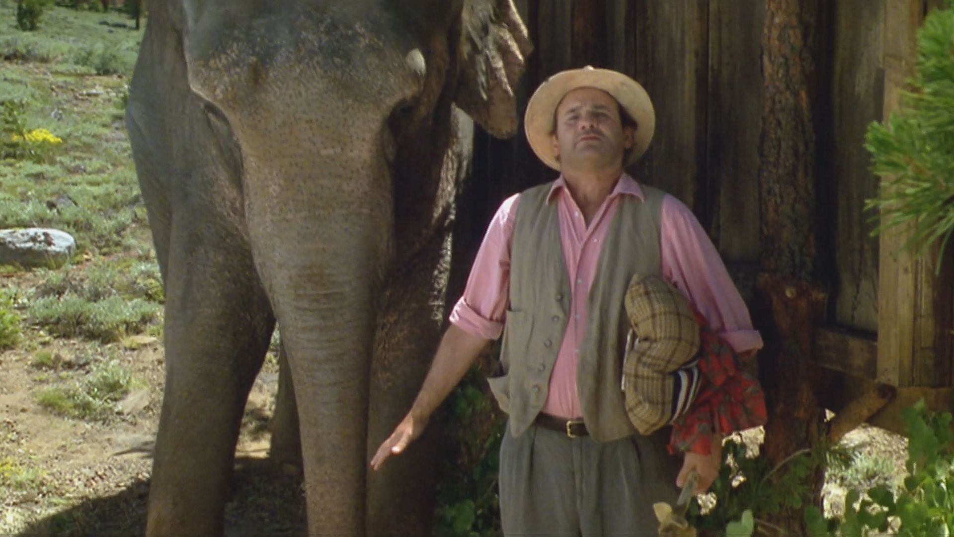 Больше, чем жизнь