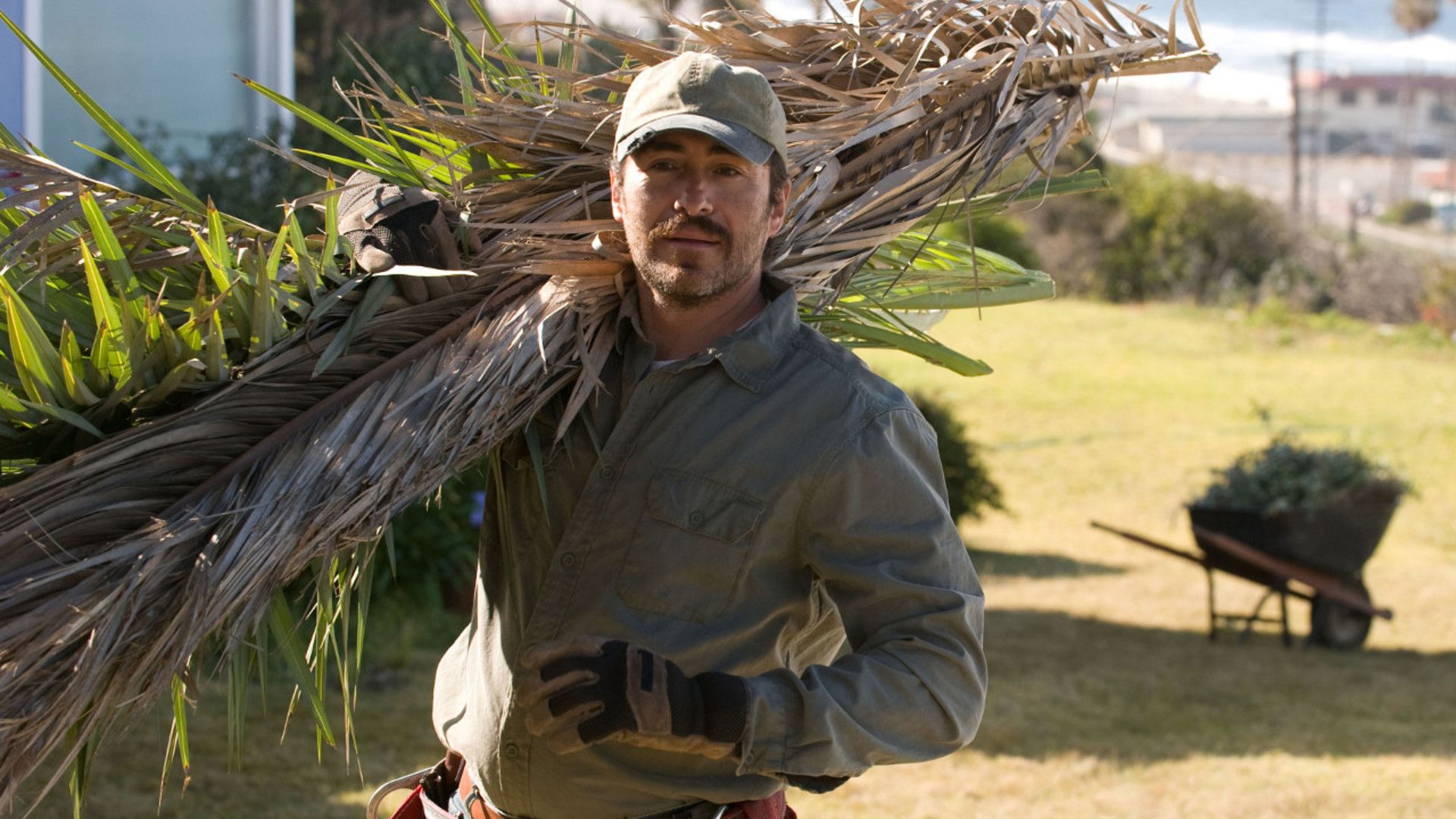 Лучшая жизнь