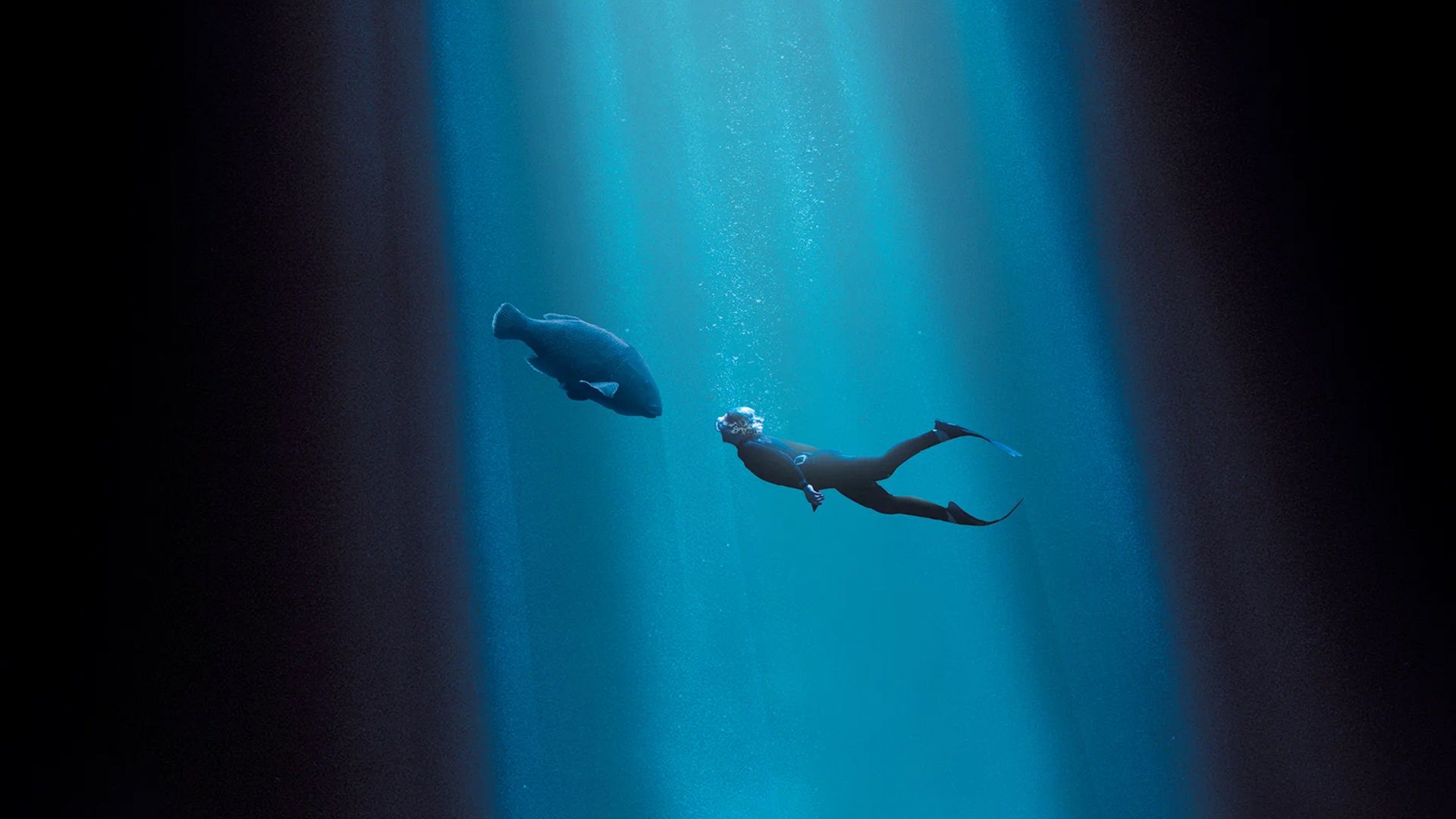 Друг в океане