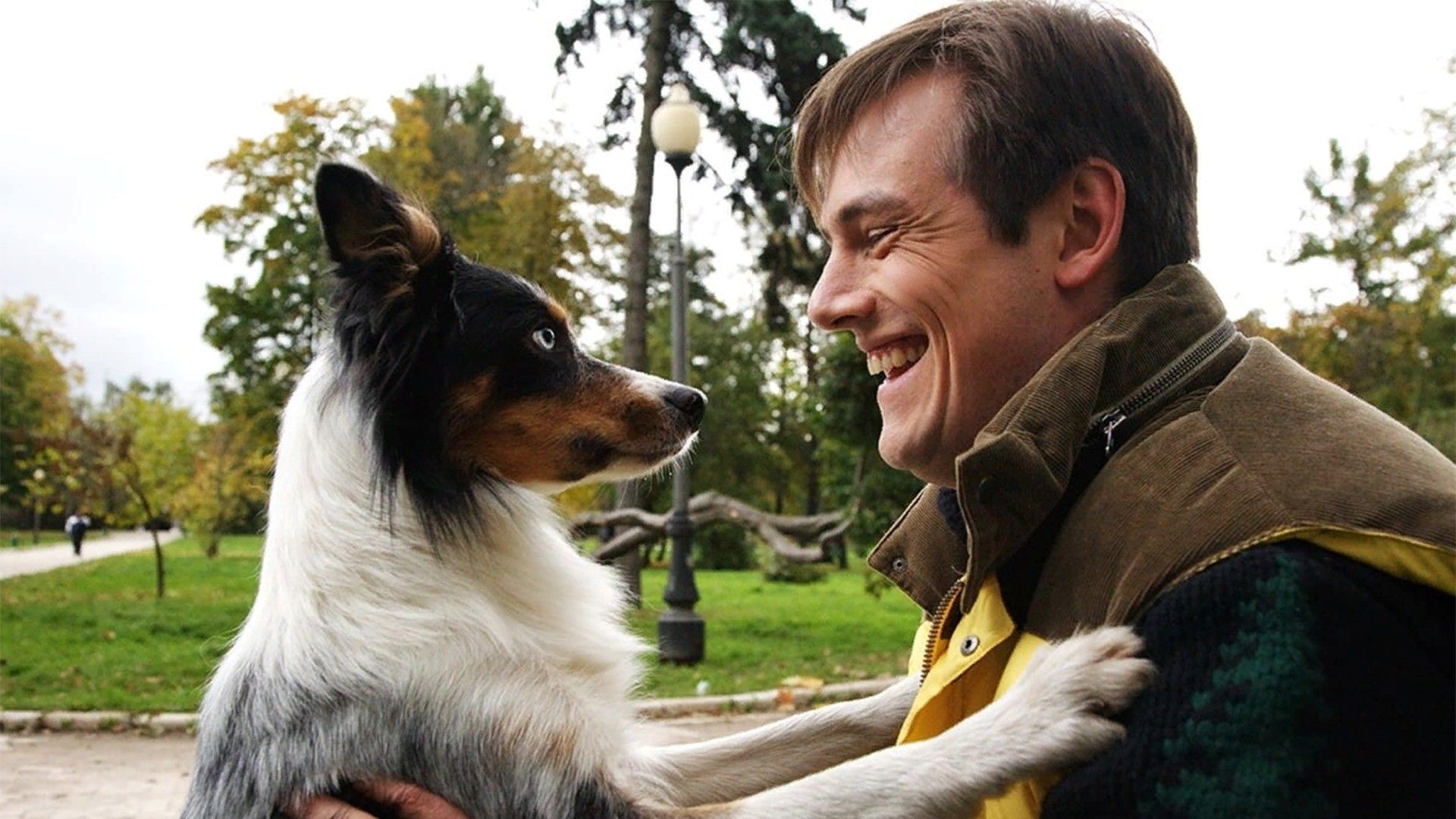 Не мое собачье дело