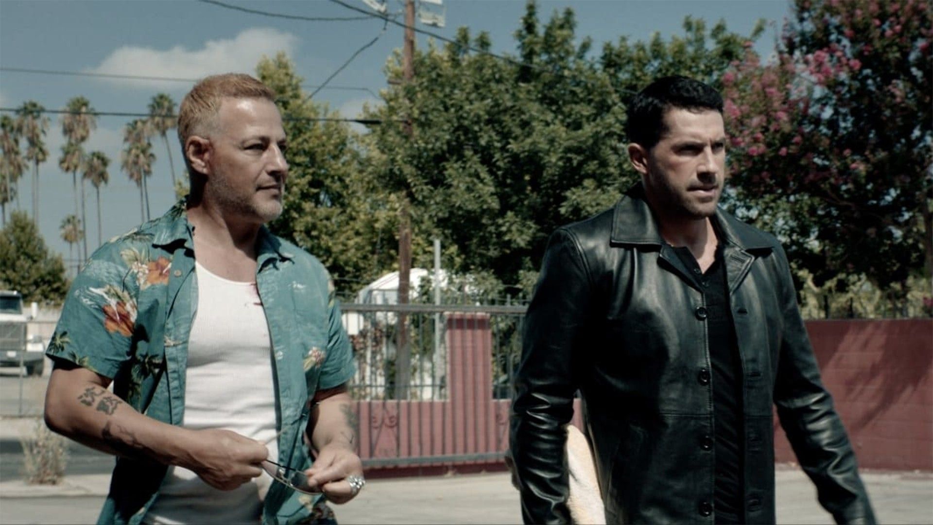 Коллекторы