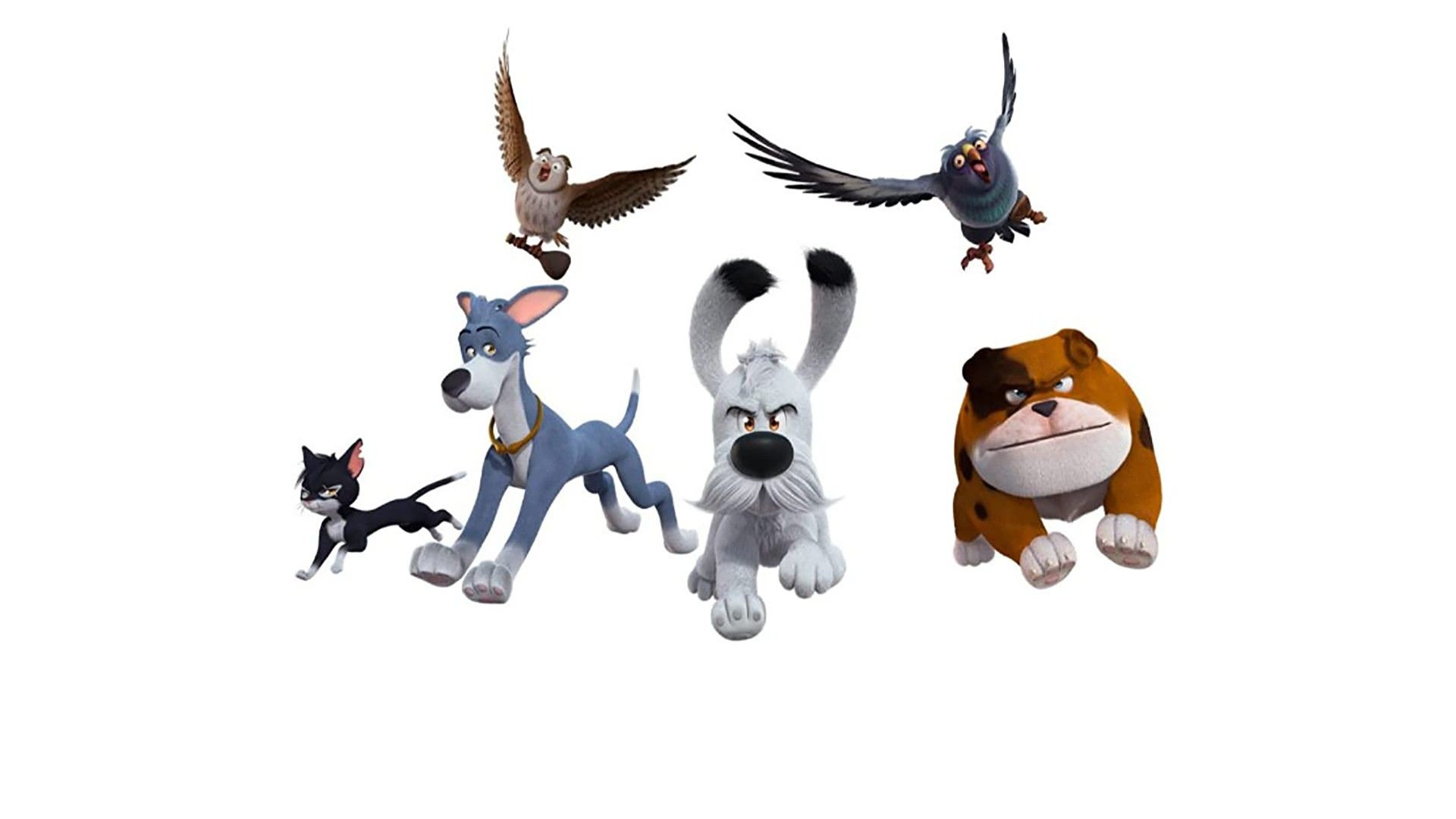 Идефикс и неукротимые. Идефикс и голубиная почта