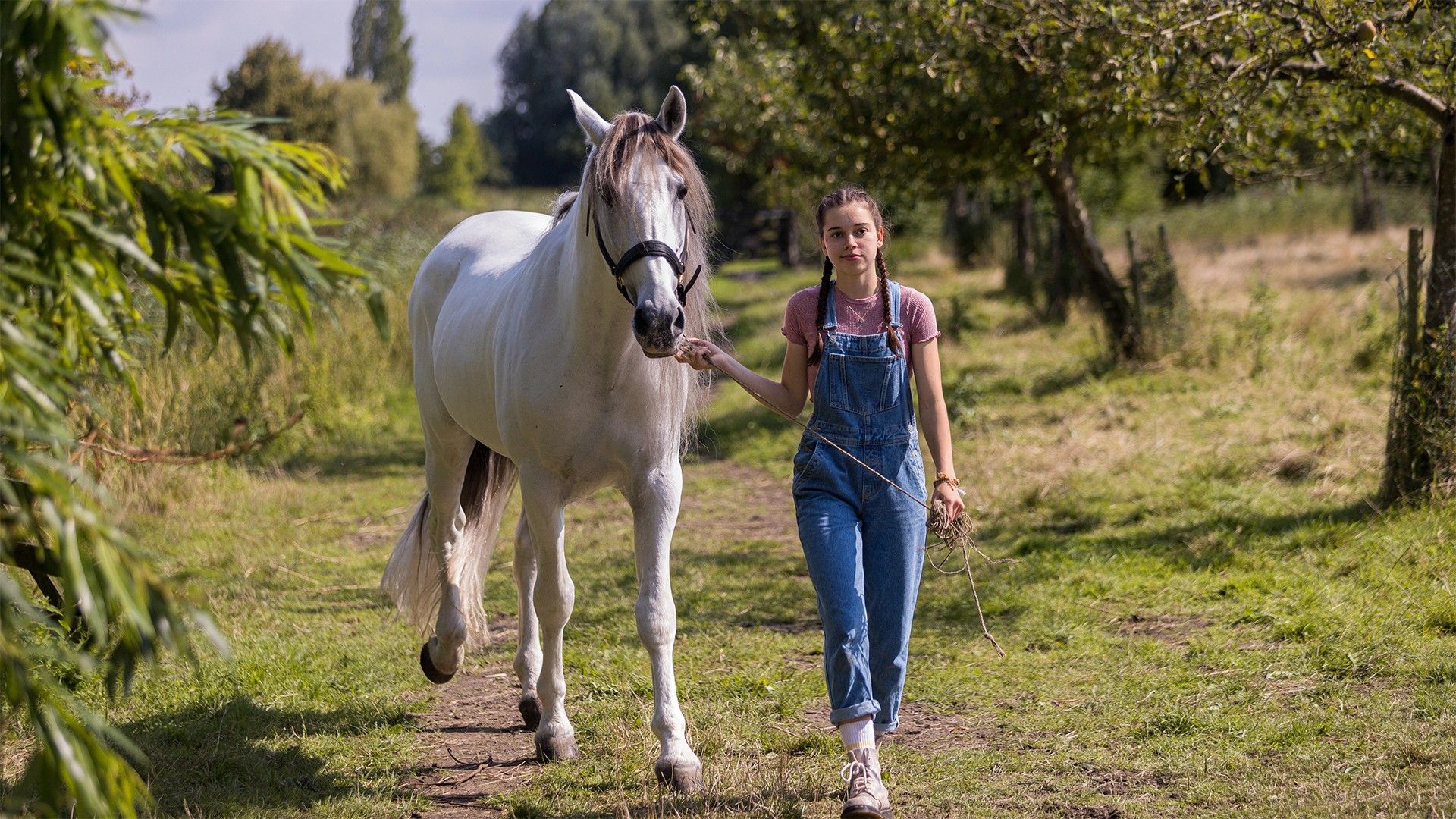 Спирит. Серебряная звезда