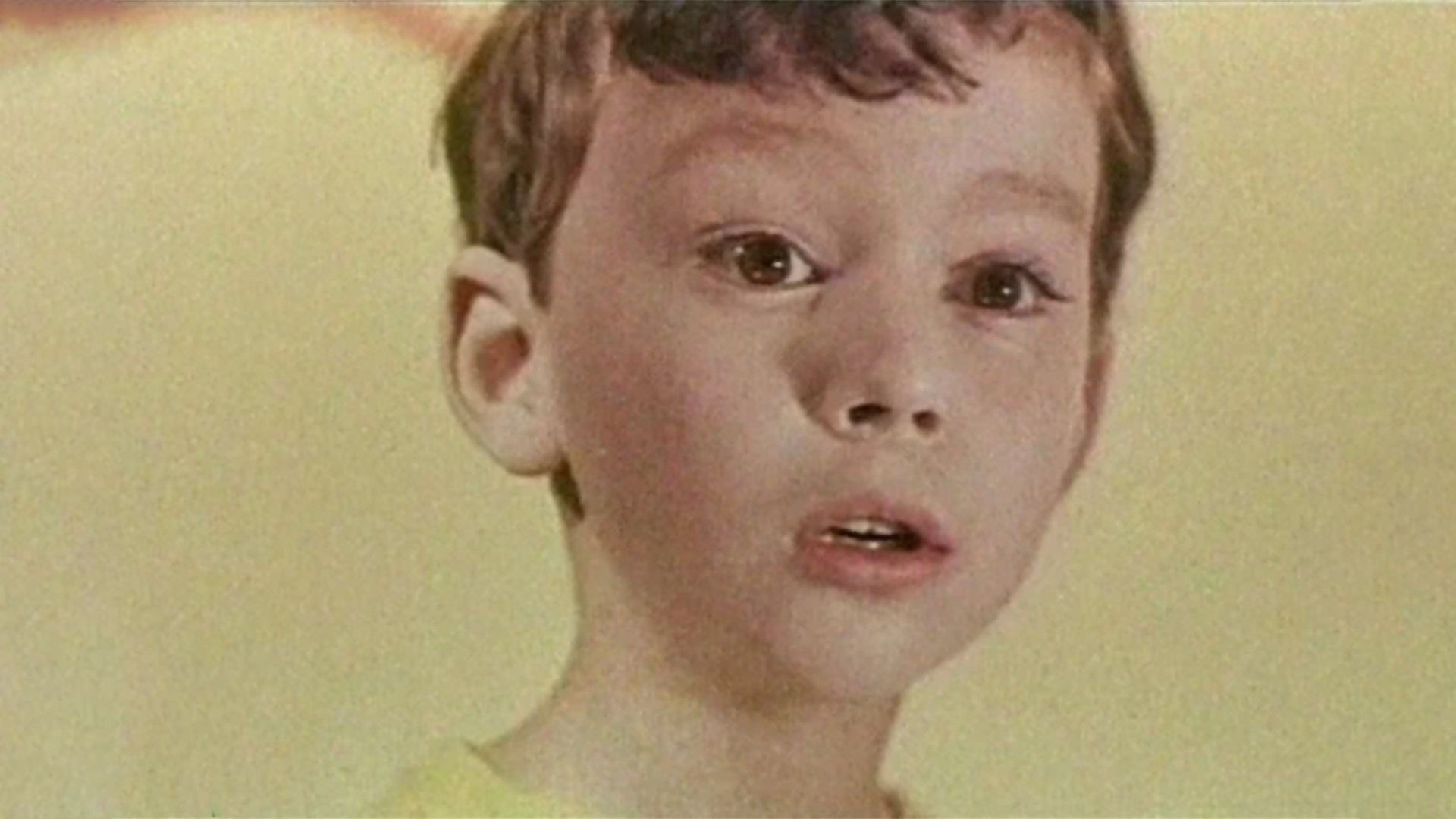 Полчаса на чудеса