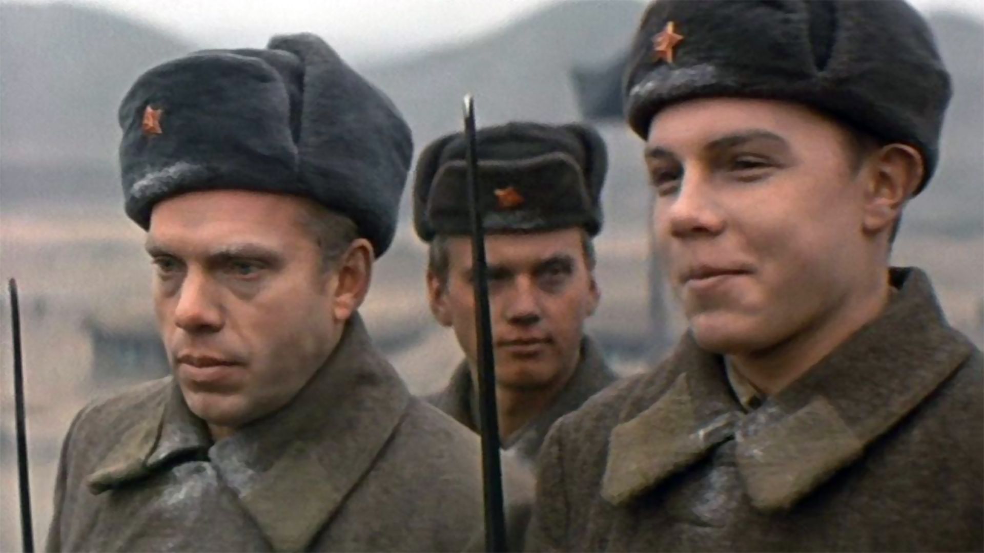 Приказ: огонь не&nbsp;открывать