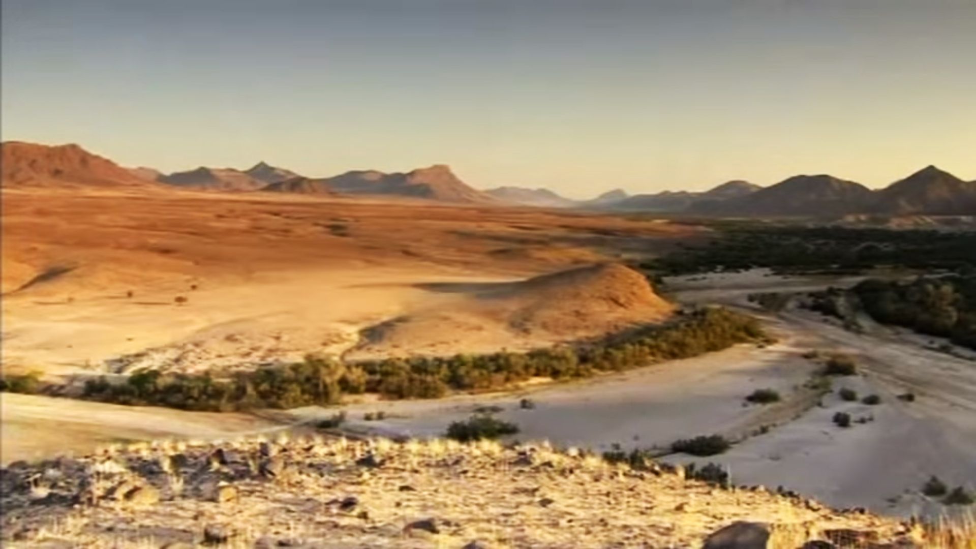 Пустыни и жизнь. 1-я серия - "Иудея"