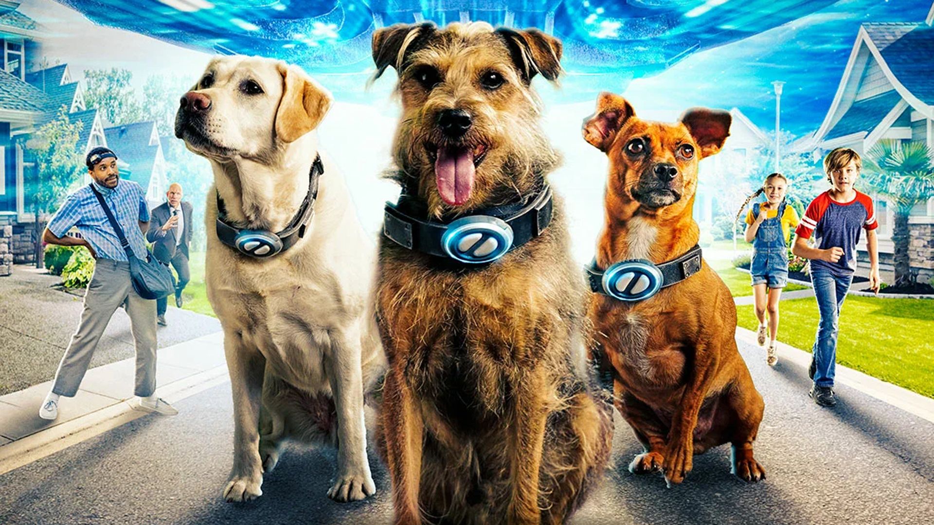 Хвостатые пришельцы