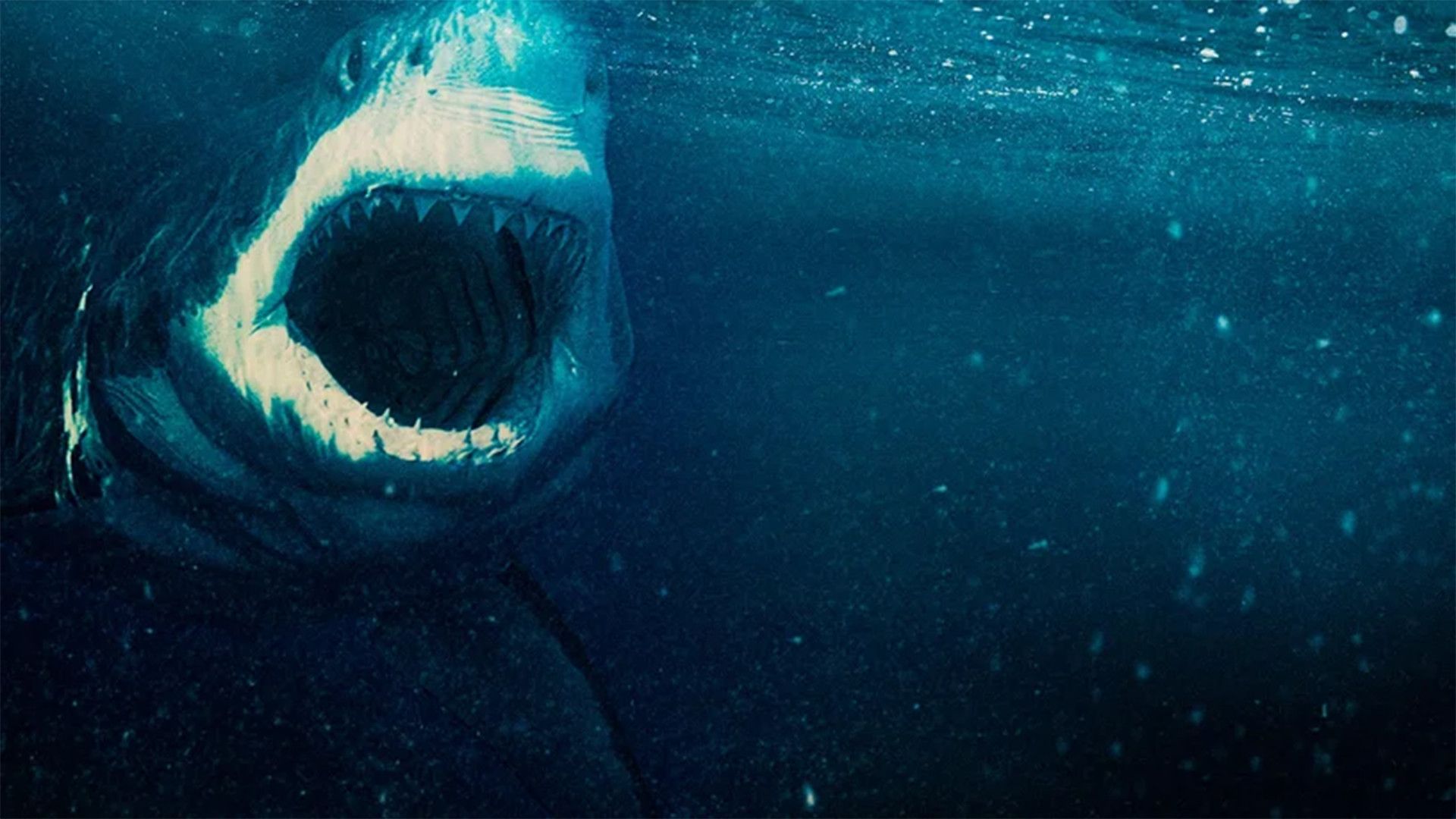 В пасти океана