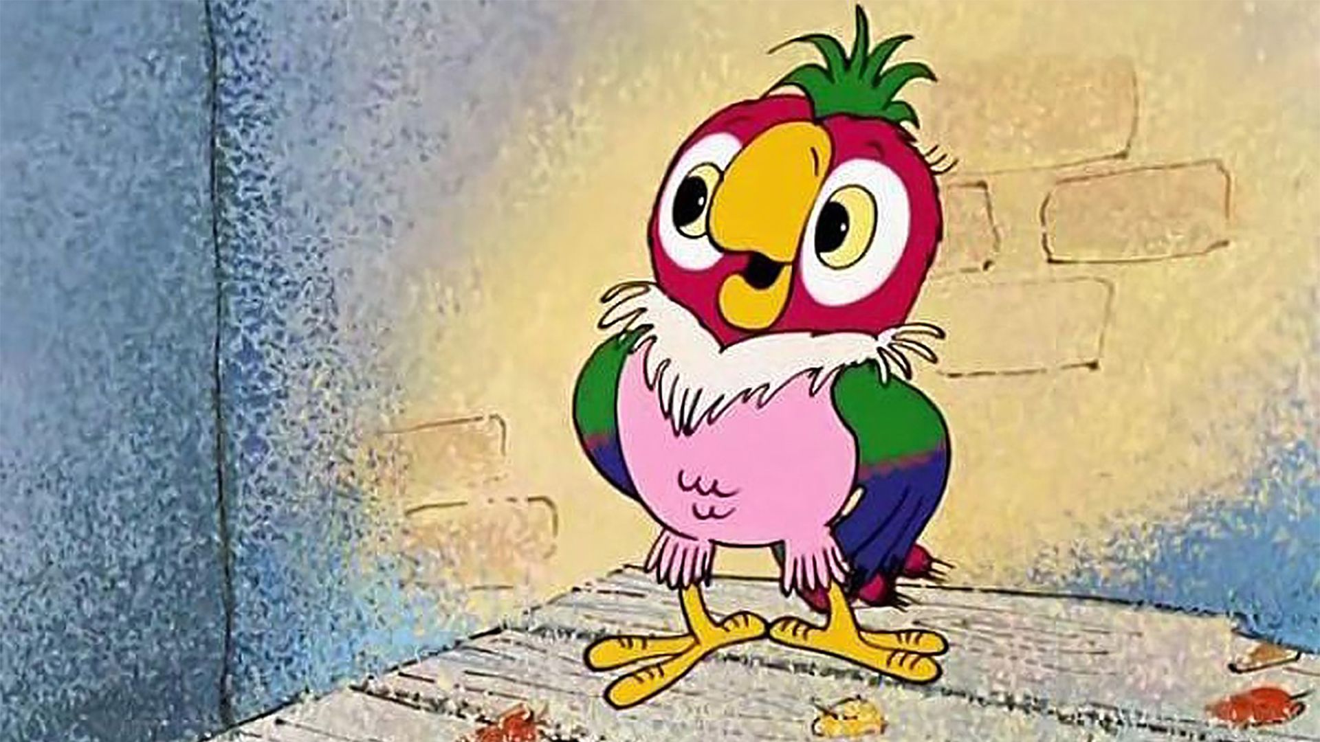 Утро попугая Кеши