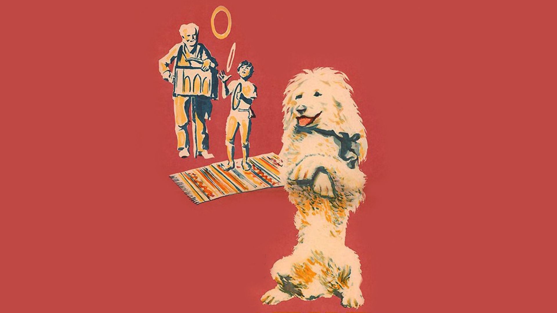 Белый пудель