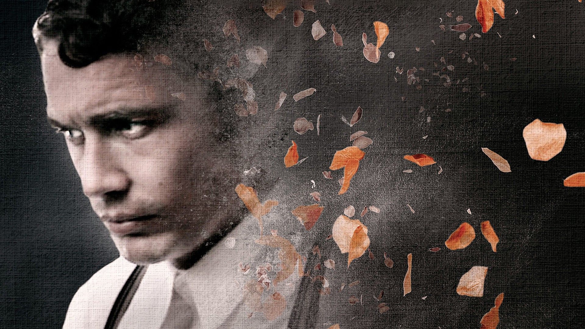 Шум и ярость