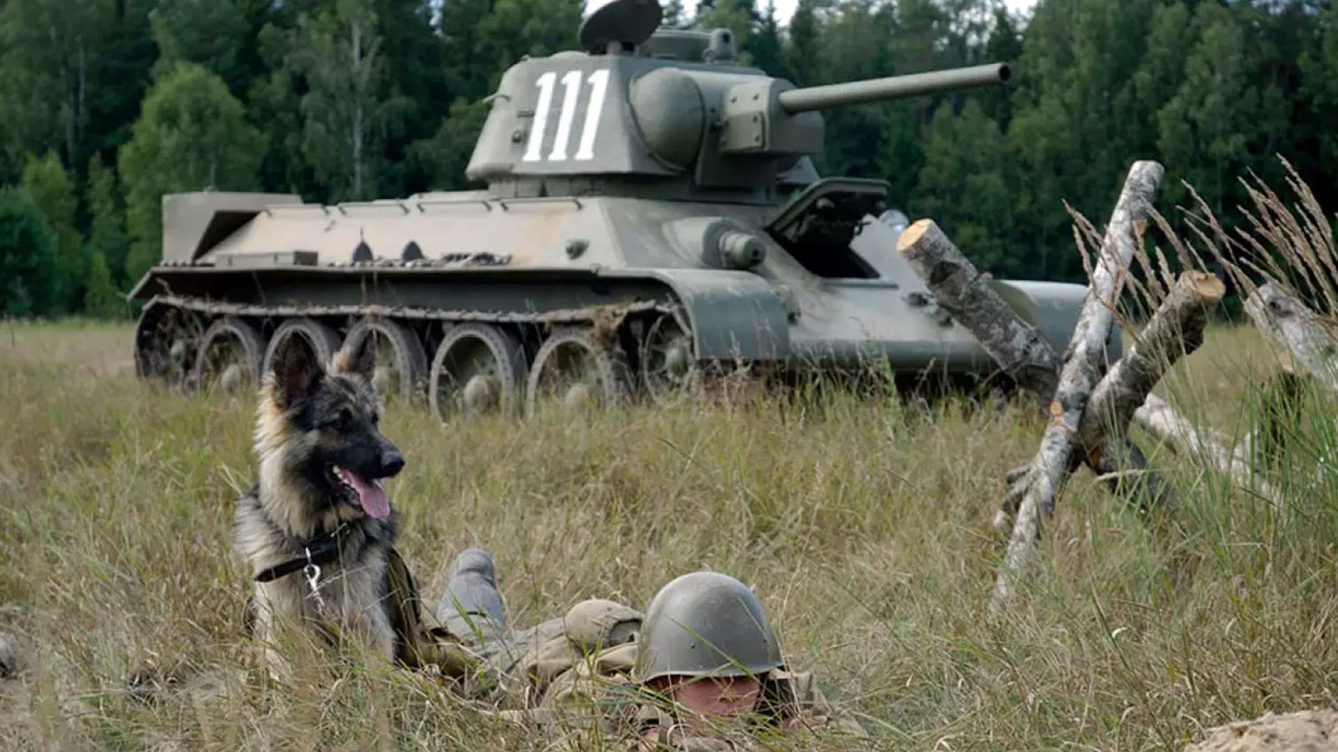 Далеко от войны