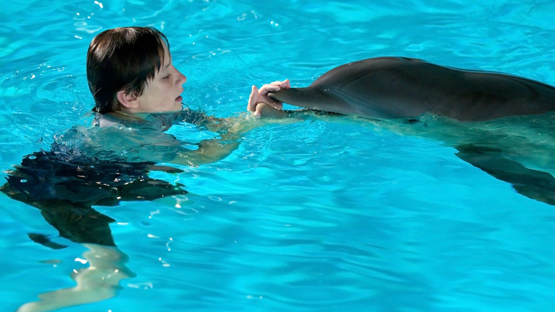 История дельфина